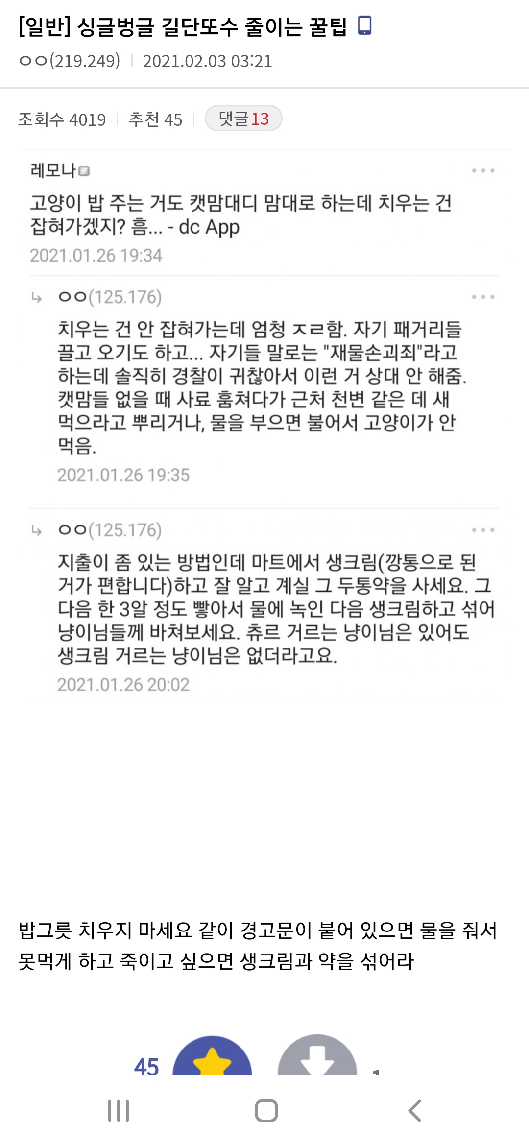 디시인사이드 길고양이 독극물 살해법 공유