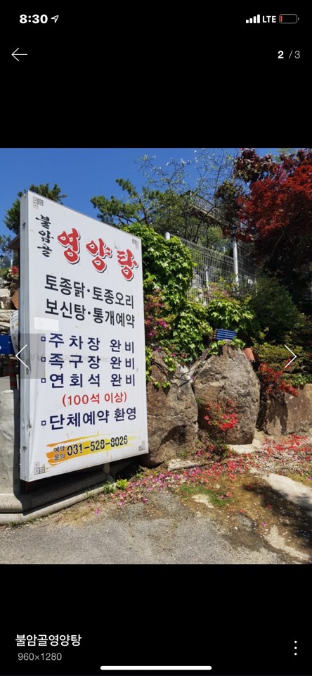불암산 영양탕집에서 방치된 어미견& 새끼견 