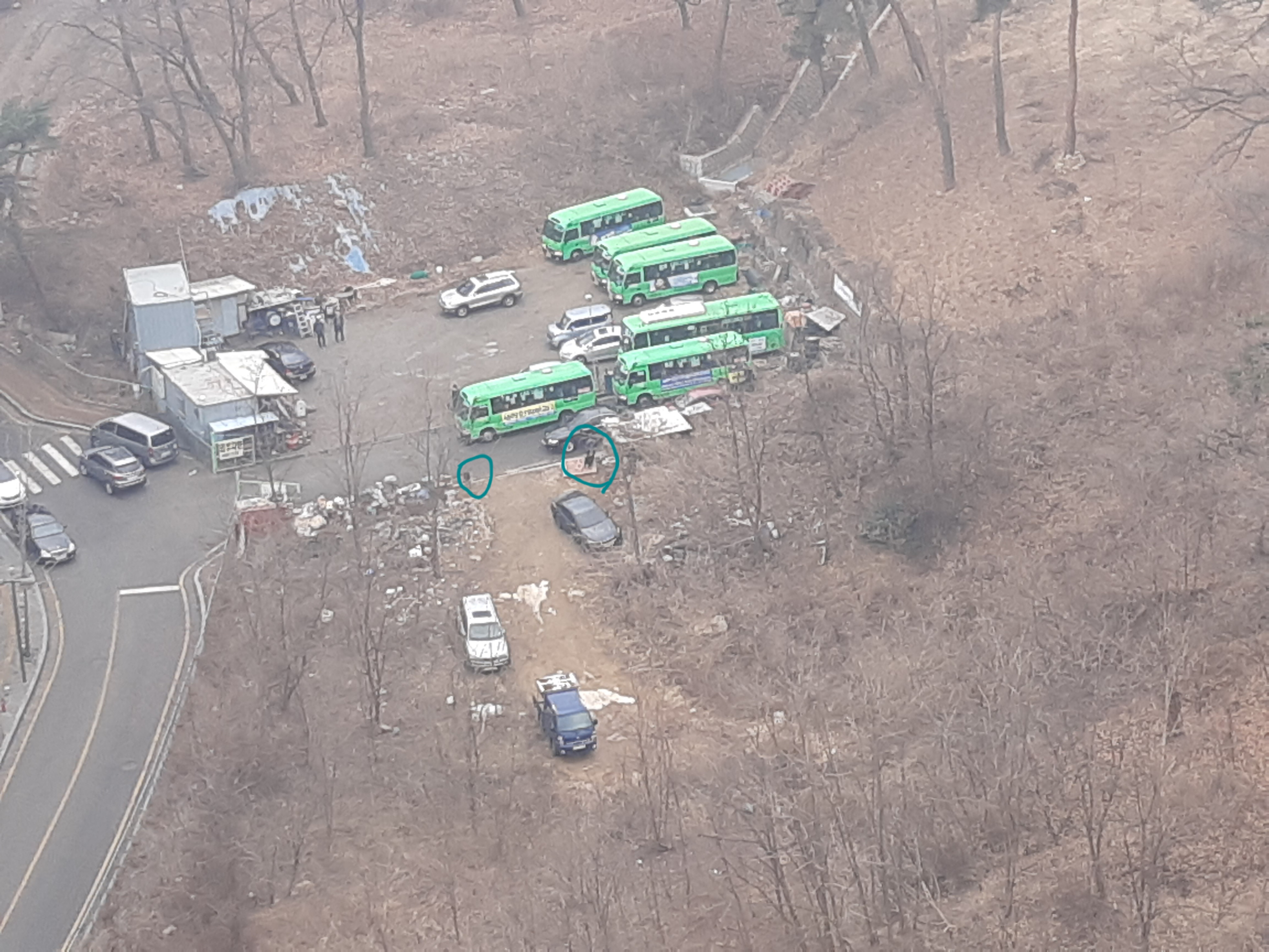 짧은 개줄에 묶여 방치