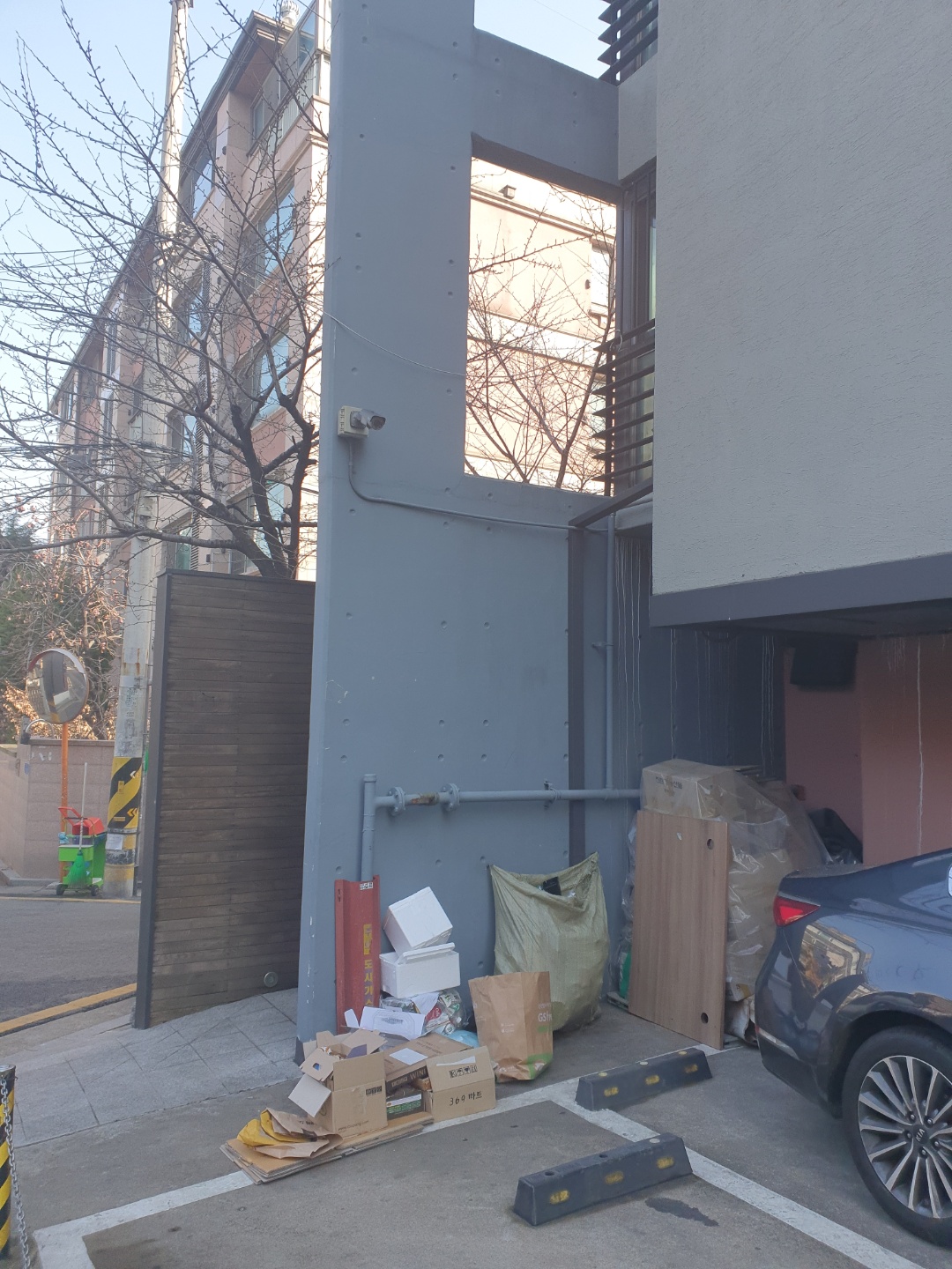 산책중인 강아지 학대를 목격 하였습니다 