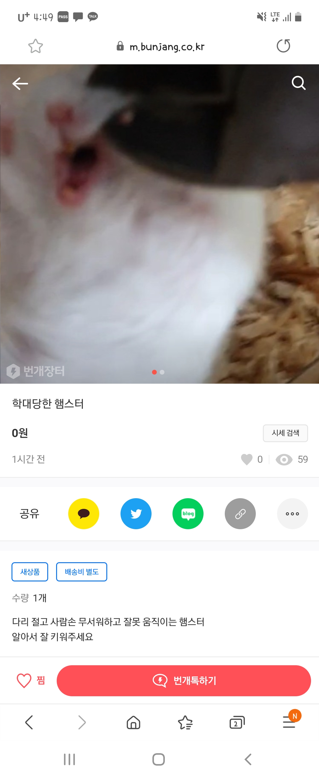 번개장터에 햄스터를 학대하는 사진과 판매글 올라왔습니다