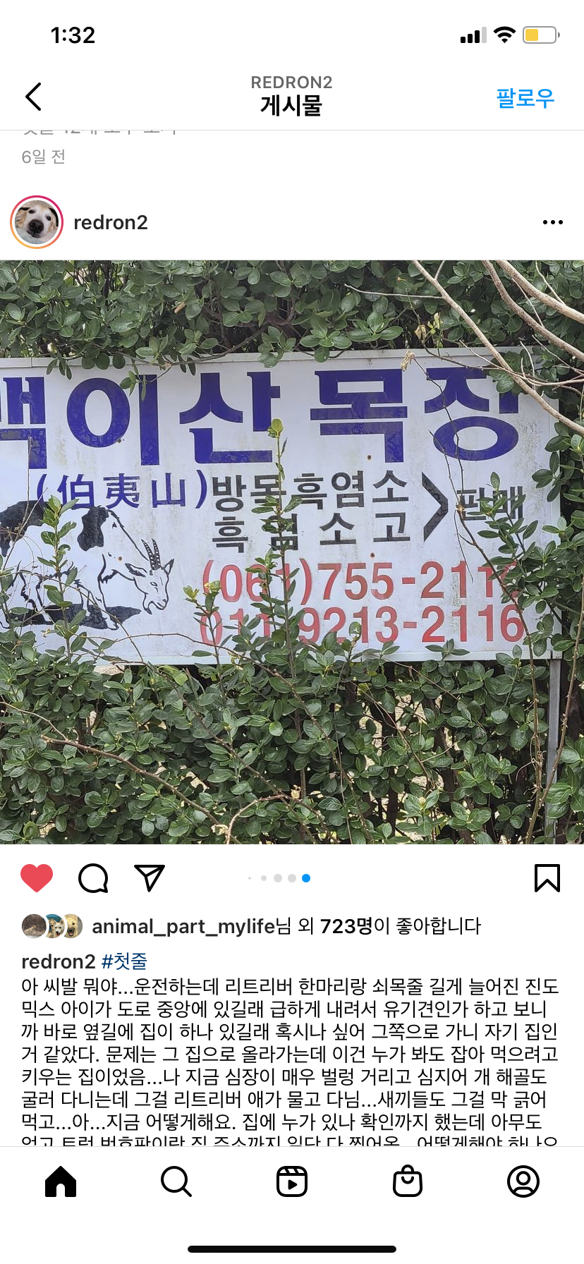 순천 강아지 방치  원글 제보자 분께서 발견