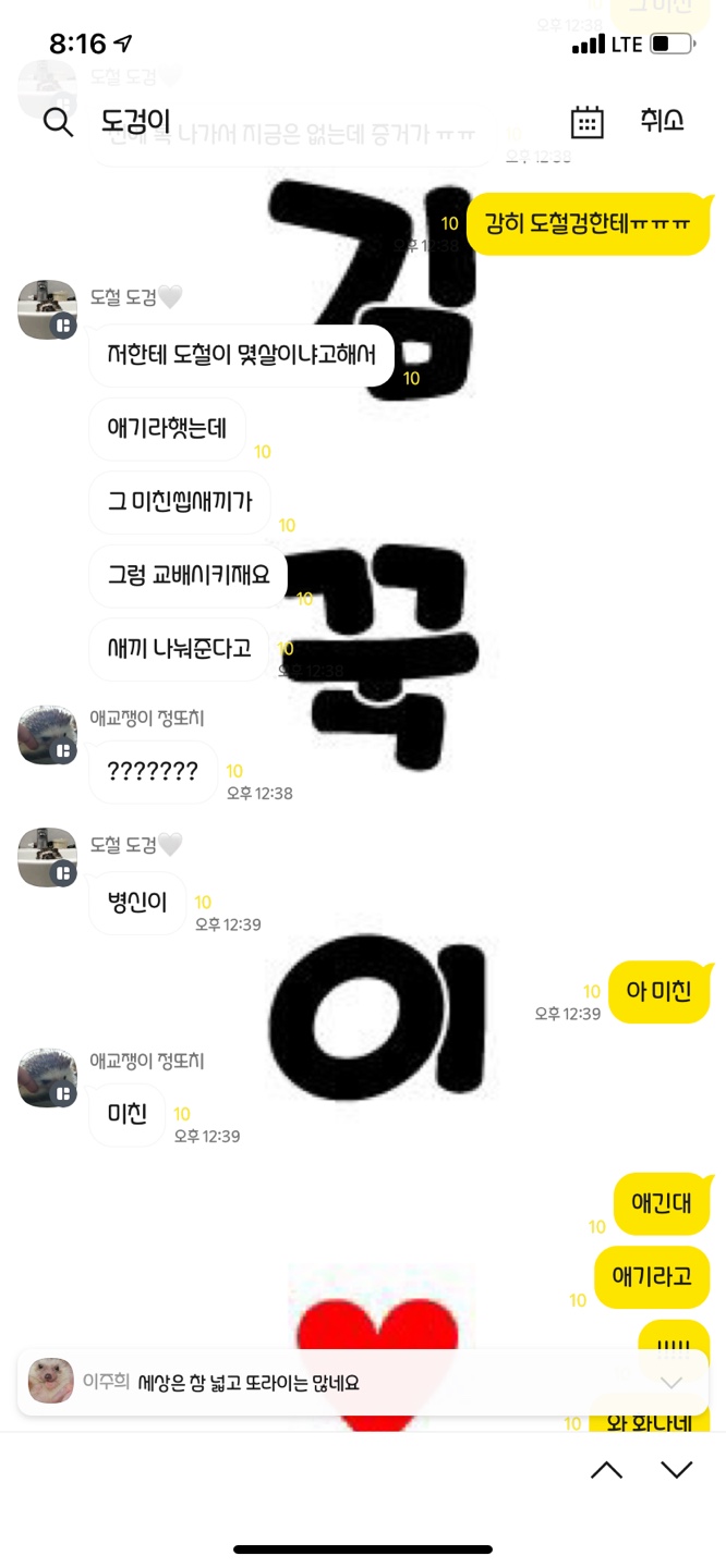 [열악한 사육환경/방치/질병] 고슴도치 방치 및 정서적 학대범 그 후.,,