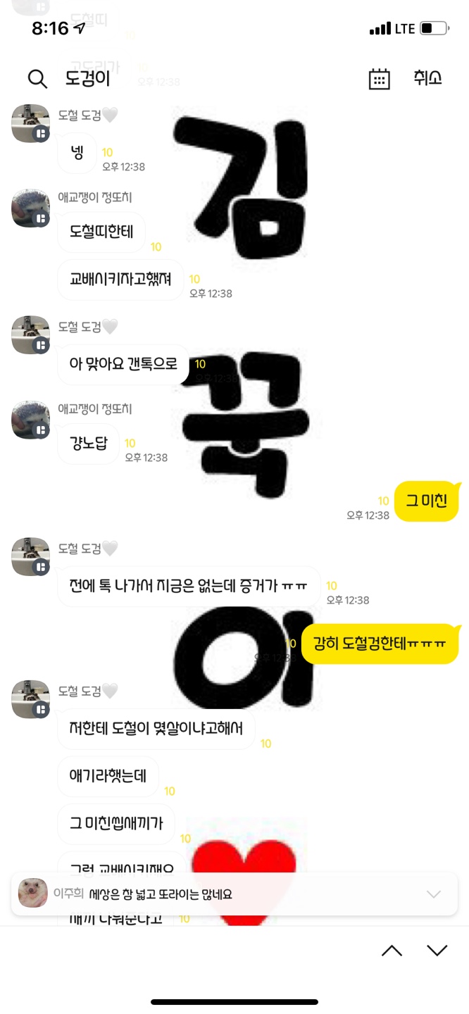 [열악한 사육환경/방치/질병] 고슴도치 방치 및 정서적 학대범 그 후.,,