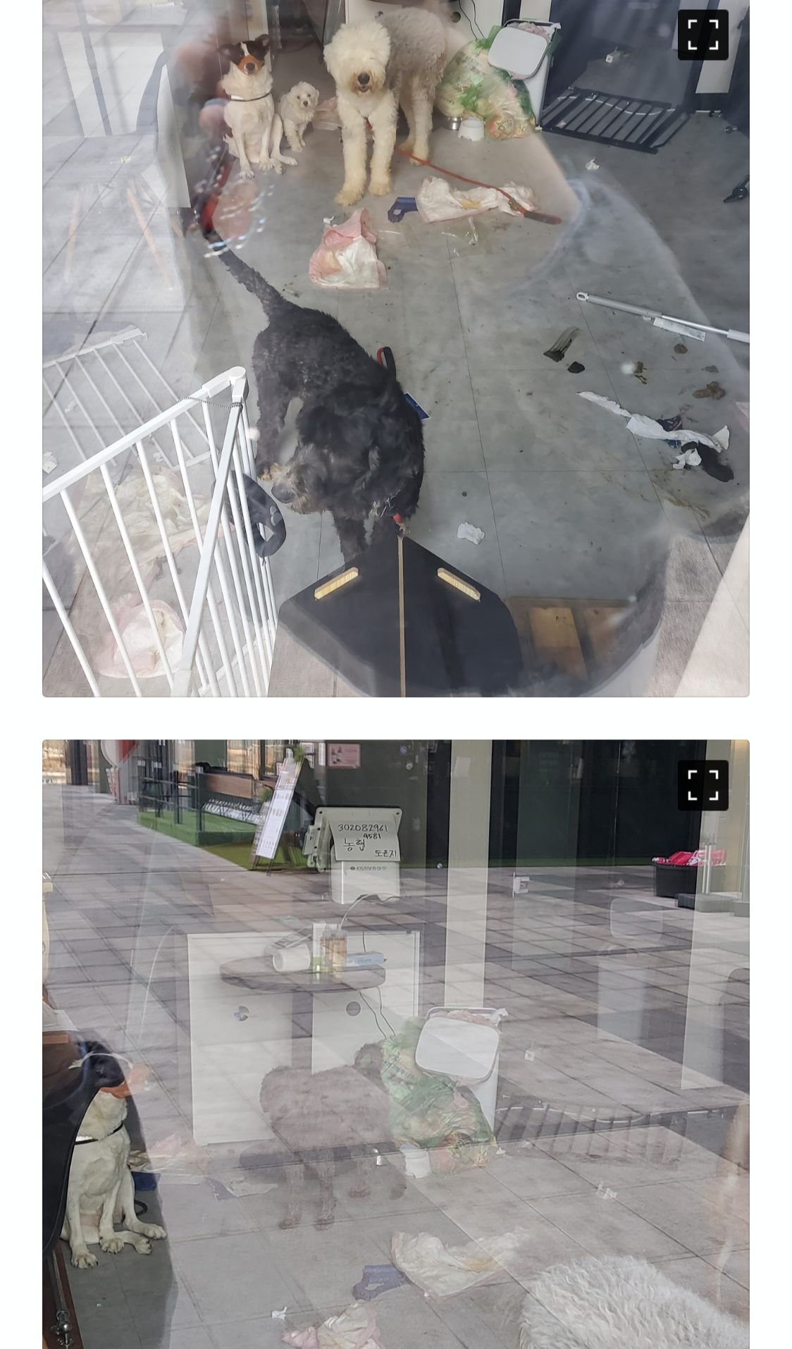 동물방치 및 학대