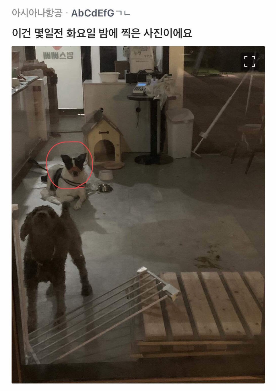 학대 제보
