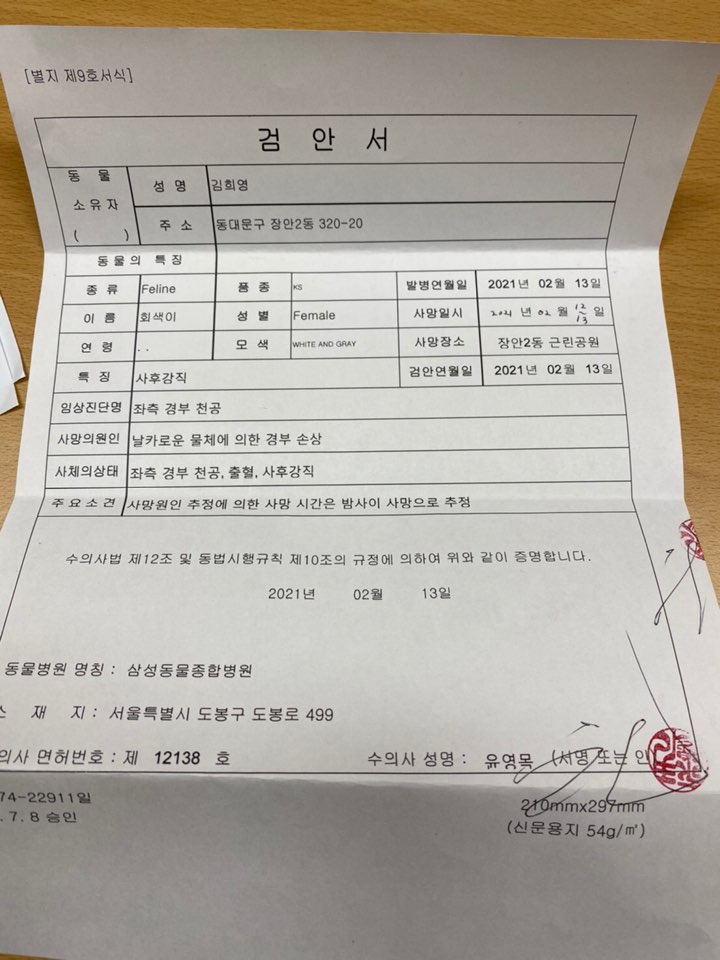 공원에서 사람들에게 사랑받던 고양이 회색이가 사체로 발견되었습니다.