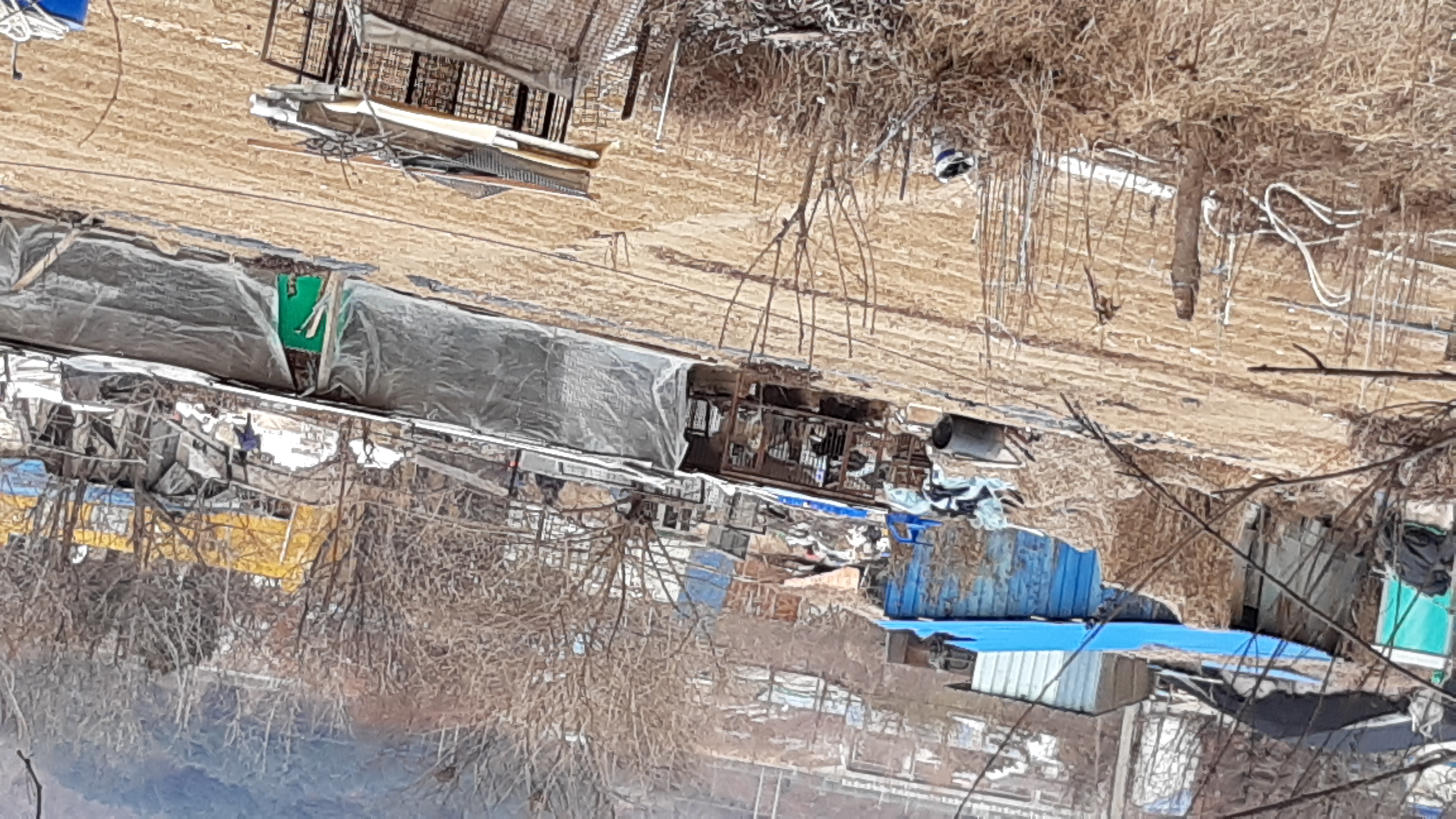 개농장 제보합니다.