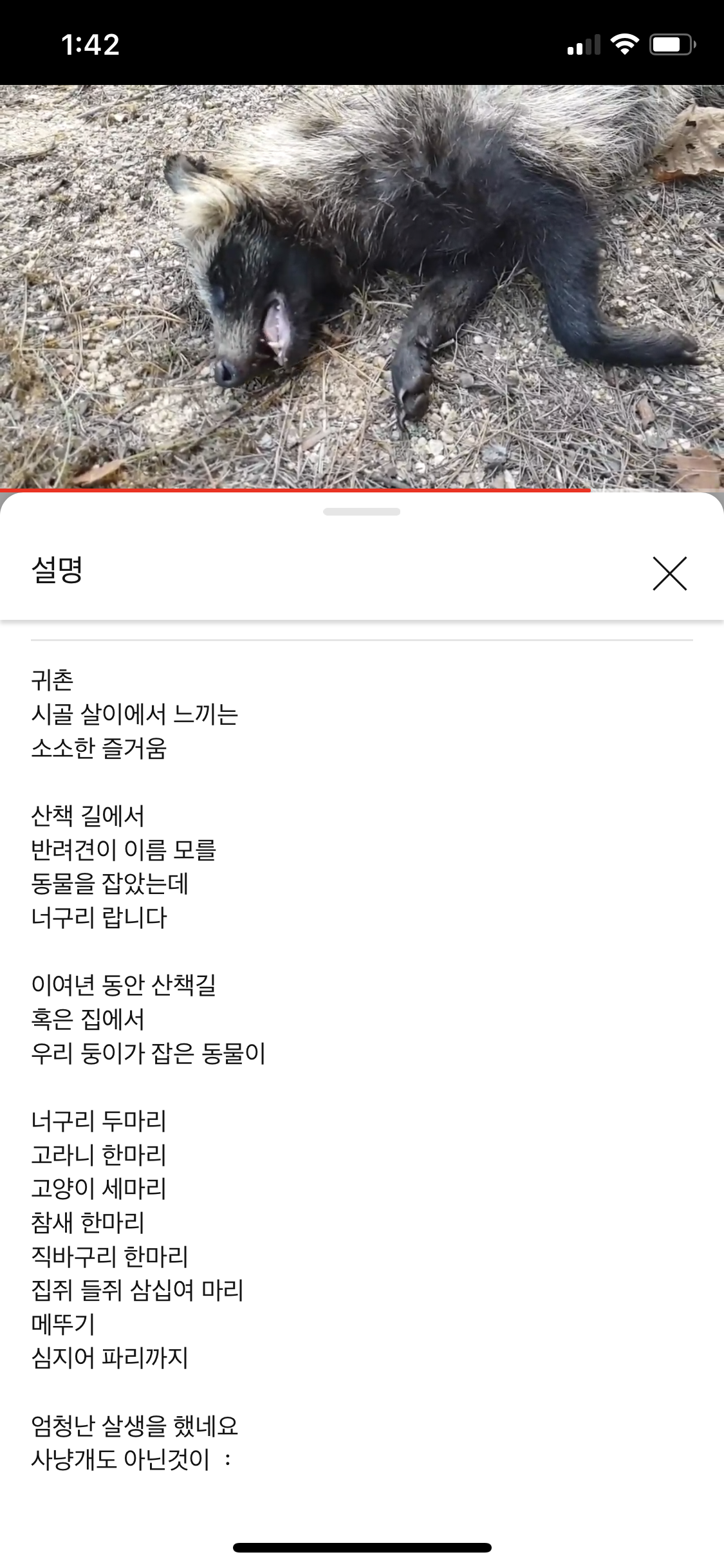 반려견으로 산짐승을 죽이는 유투버 제보