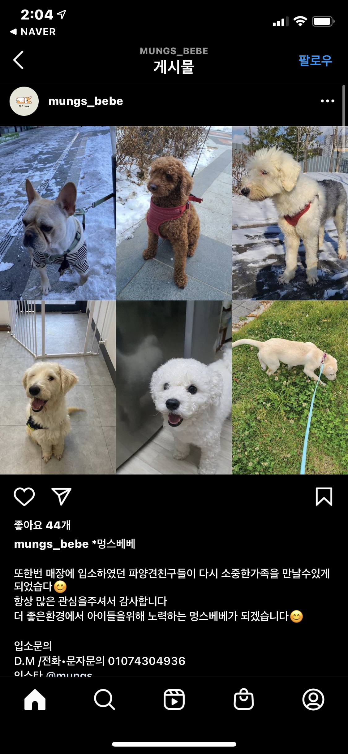 이름만 파양견위탁보호소