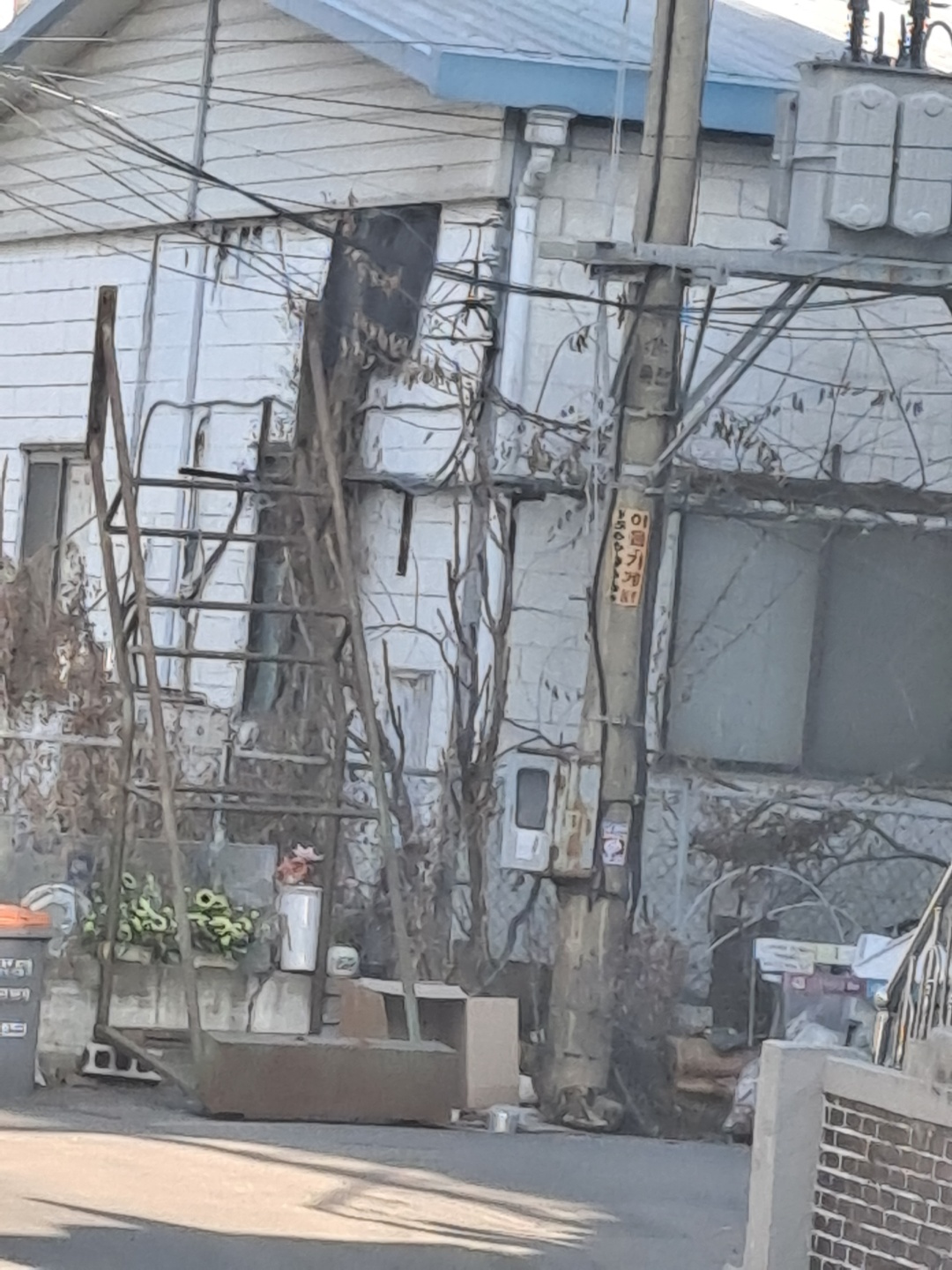 집도 없이 밖에서 묶여 있습니다. 목적은 새끼들을 부양하는 것 같습니다.
