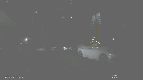 고양이2마리를 4층에서 창밖으로 던졌습니다.