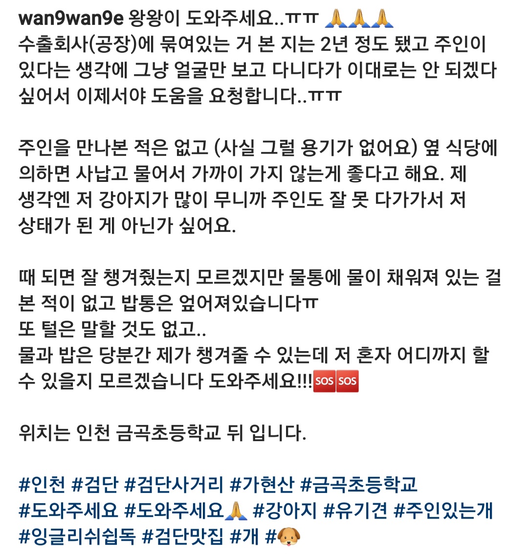 2년째 방치 중인 강아지 제보
