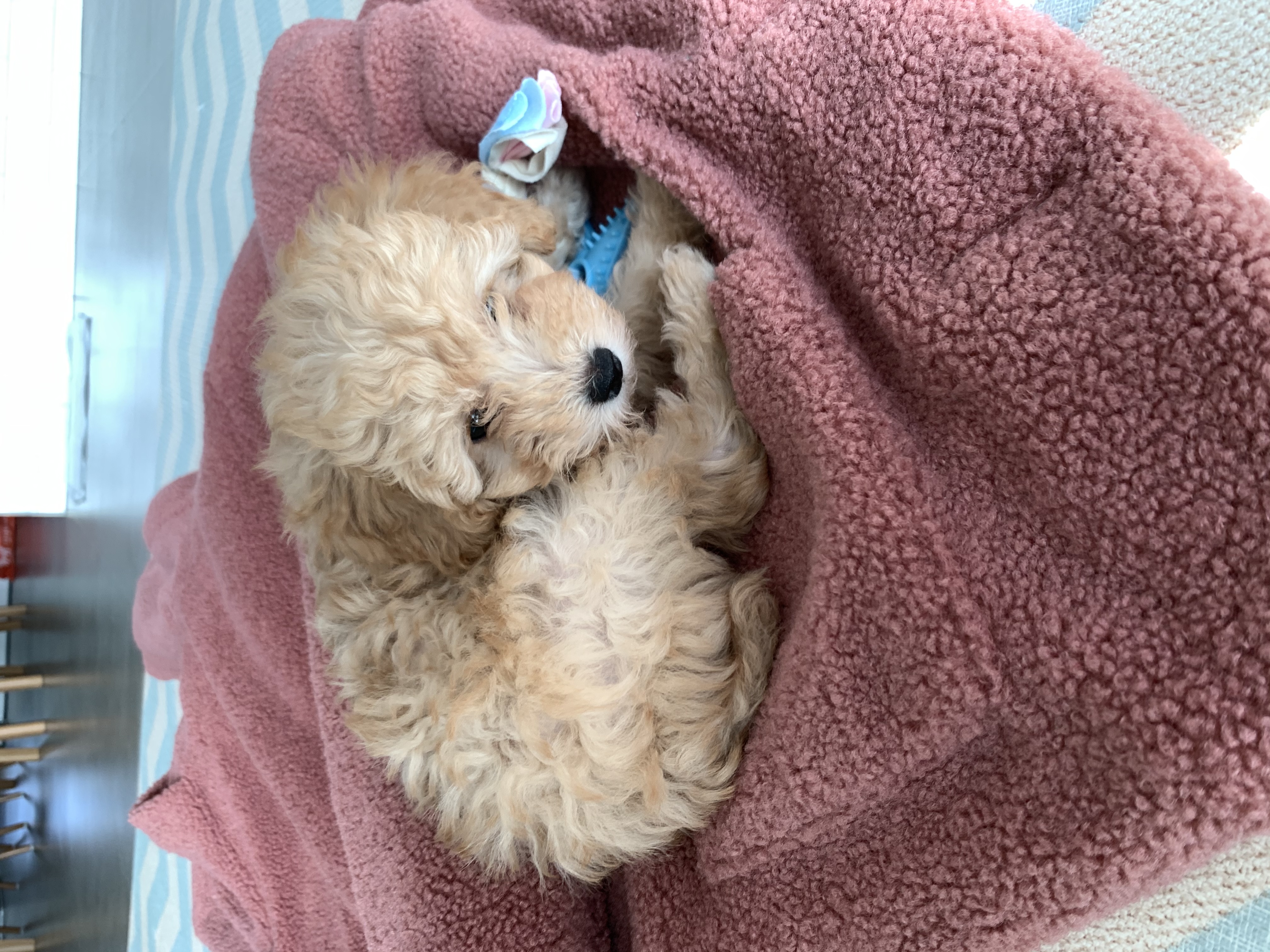 해이 잘 적응하고 있어요~!