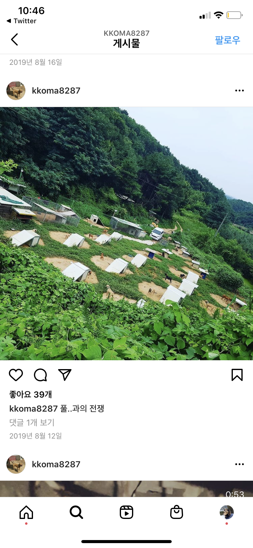 쇠사슬에 묶여 투견이 되는 아이들을 구해주세요. 