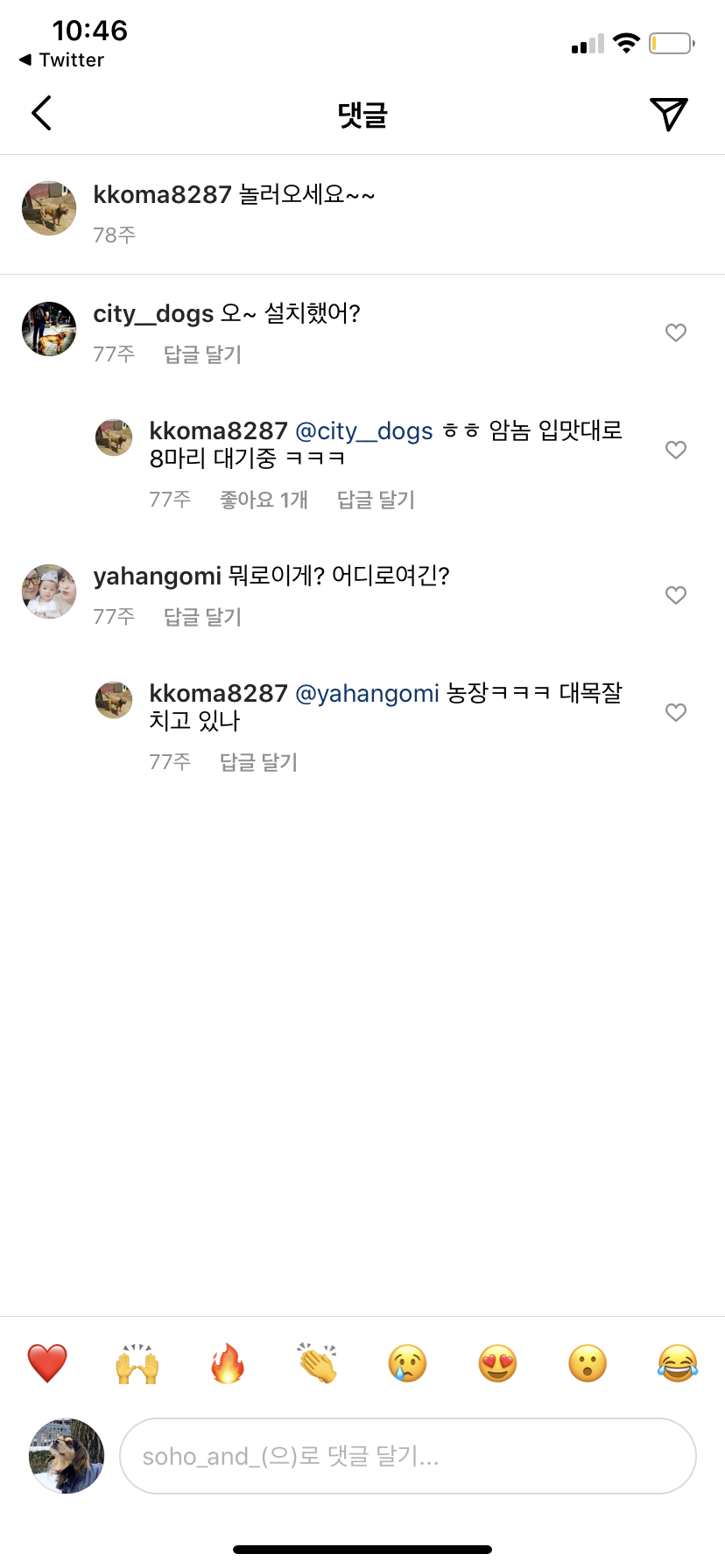 쇠사슬에 묶여 투견이 되는 아이들을 구해주세요. 