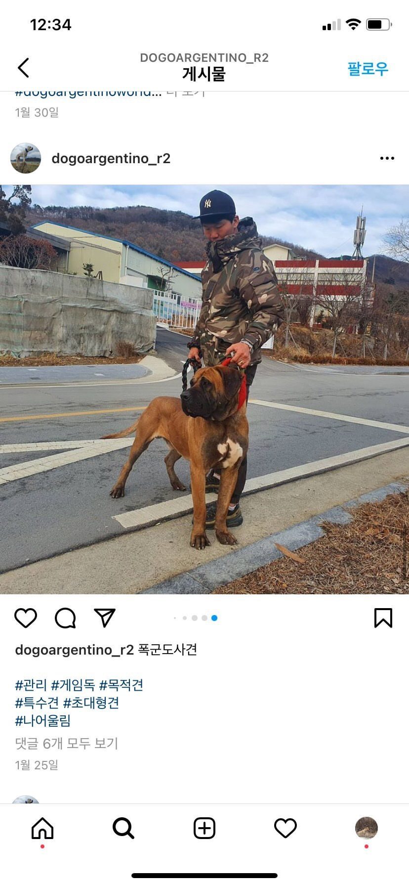 투견오픈채팅방 제보. 구해주세요.