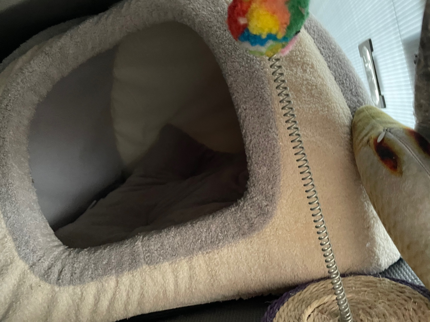 길고양이 학대와 급식소 파손후 재물손괴 수사중에도 또 파손했는데 파렴치한 인간들 처벌