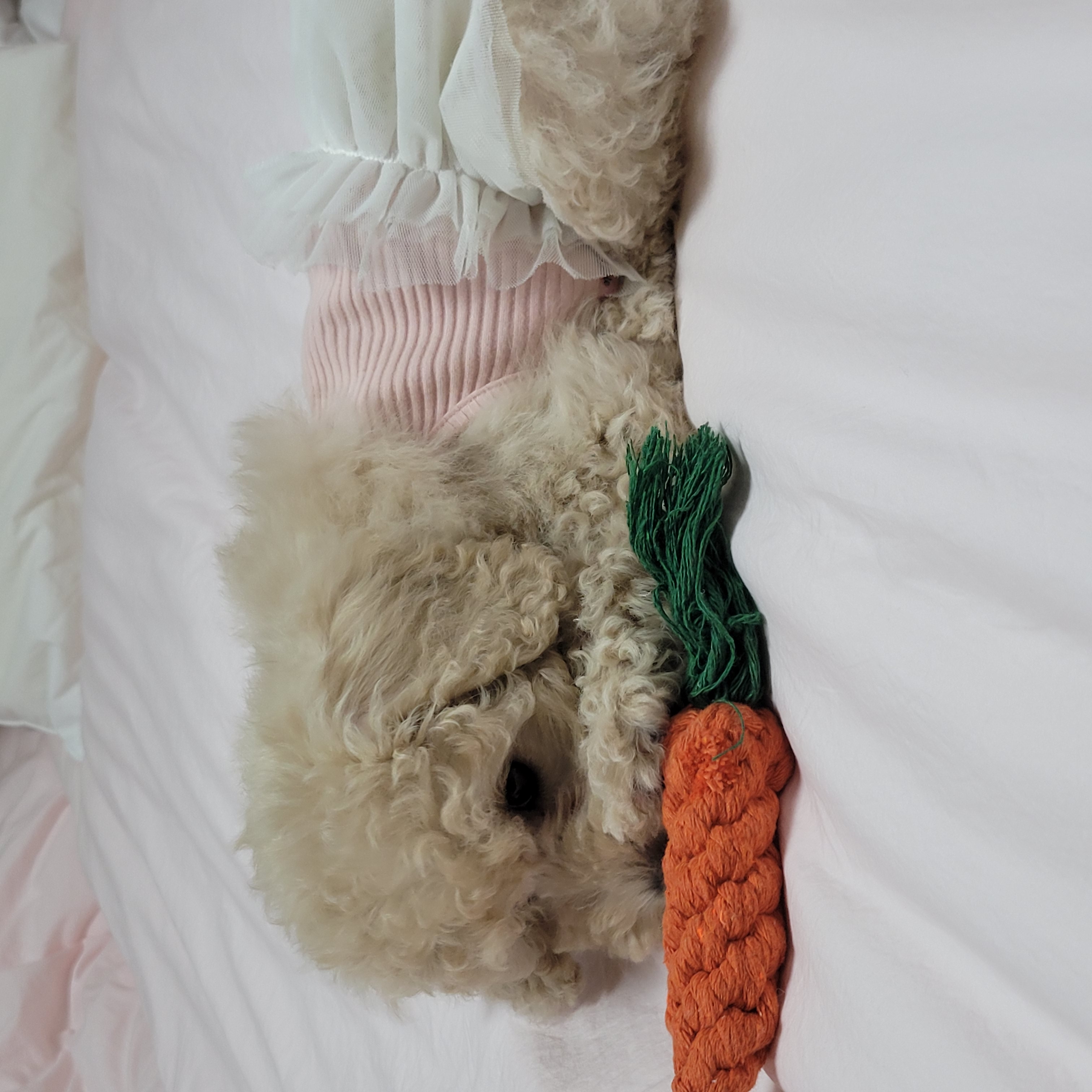 푸사일상