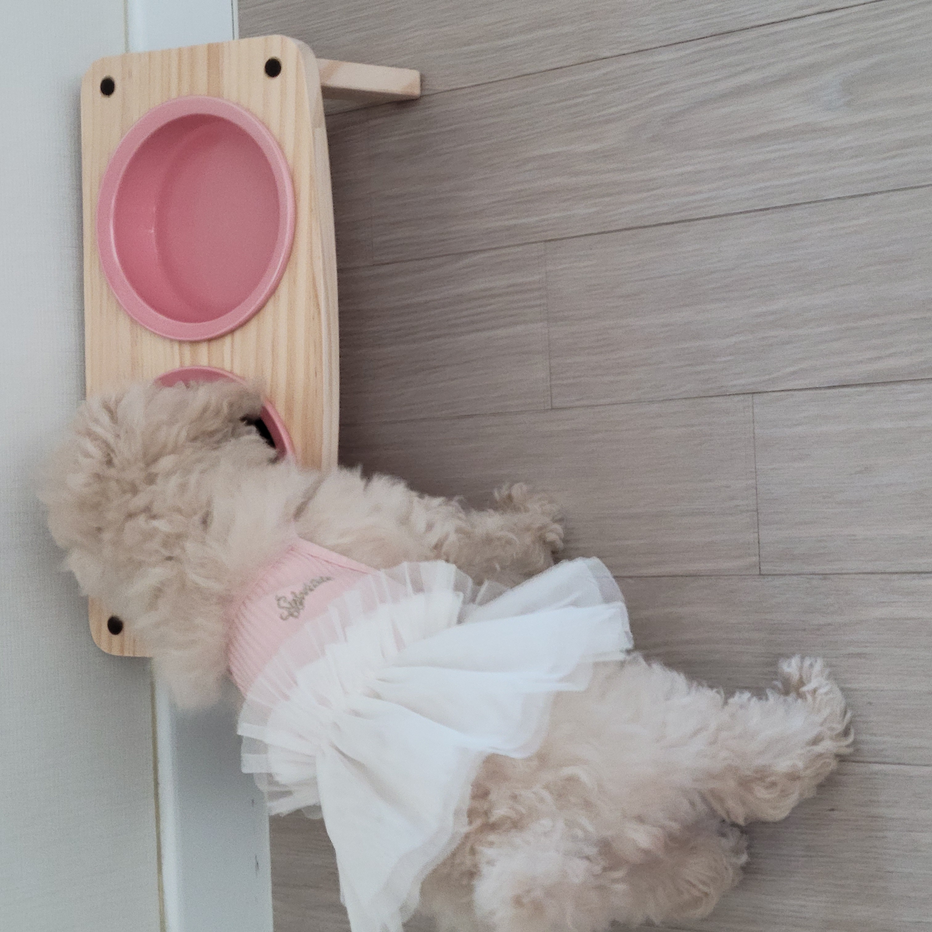 푸사일상