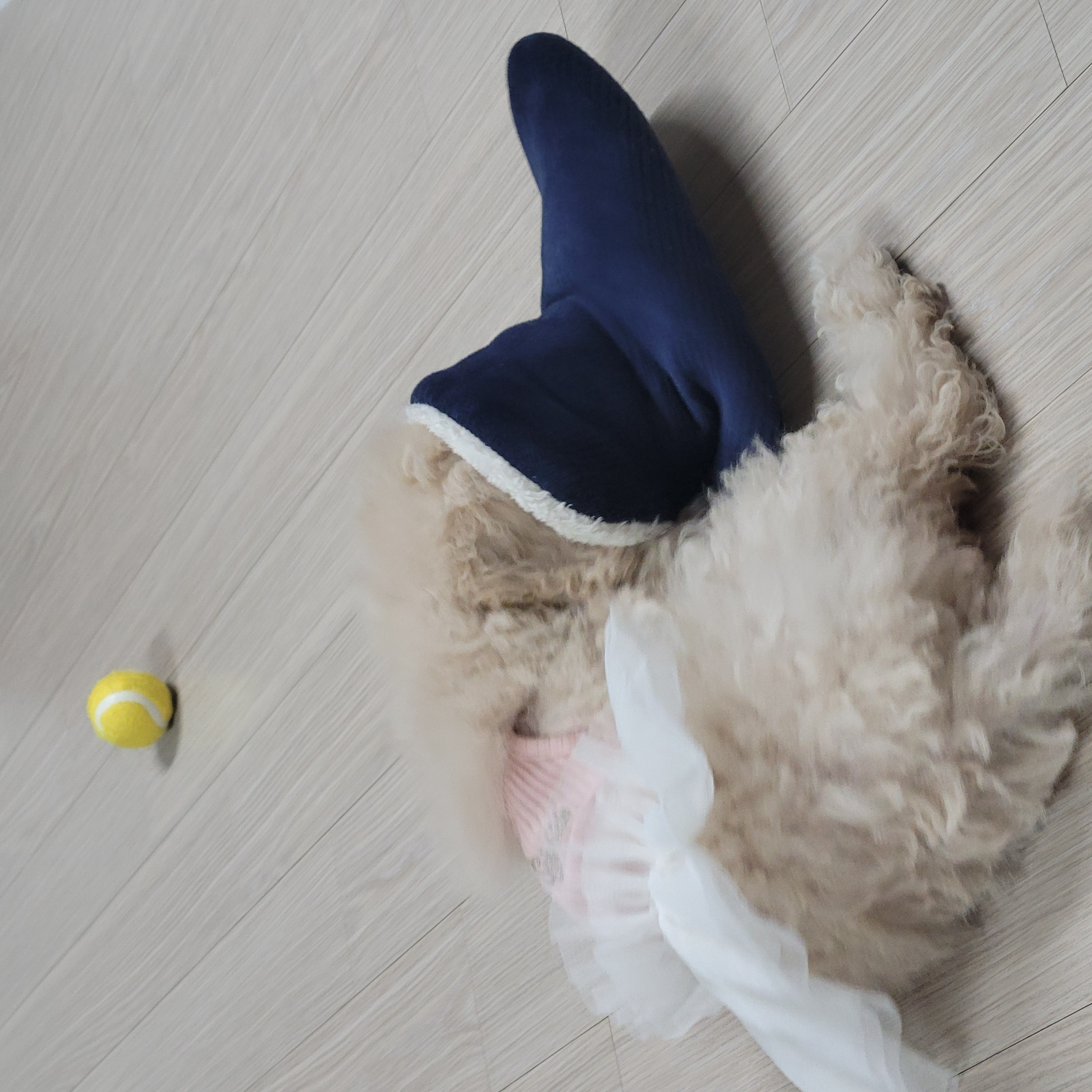 푸사일상