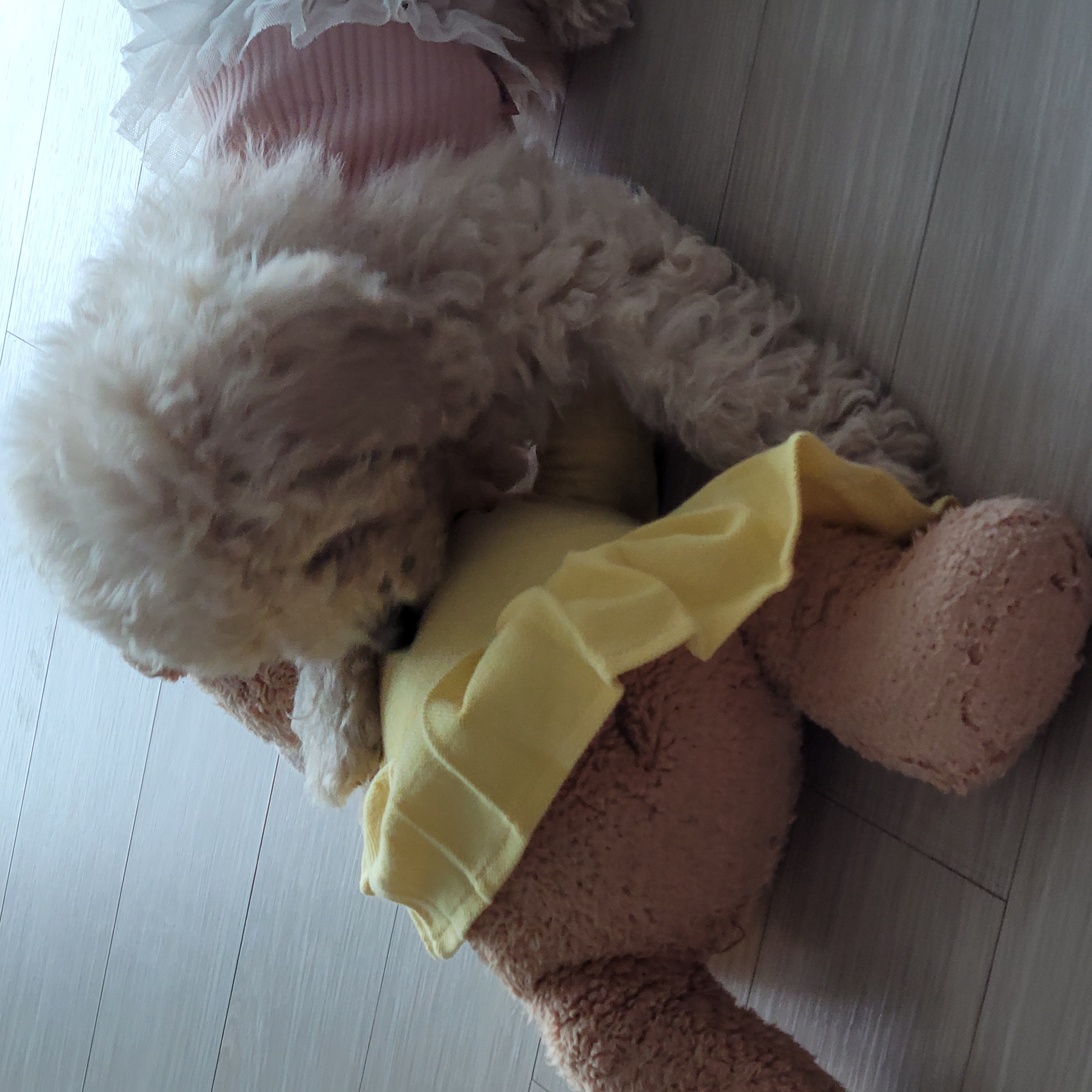 푸사일상