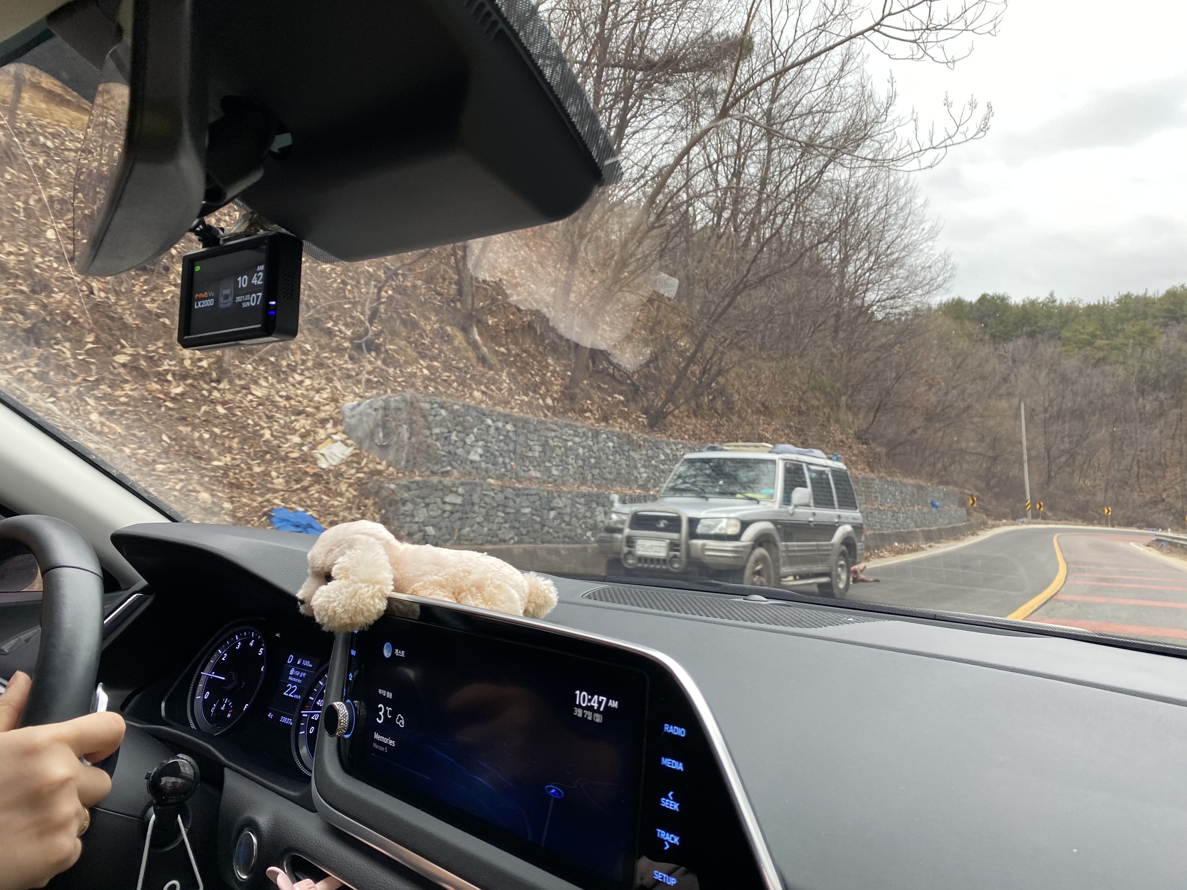 차에 매달린채 끌려다니고 있는 한마리 개....