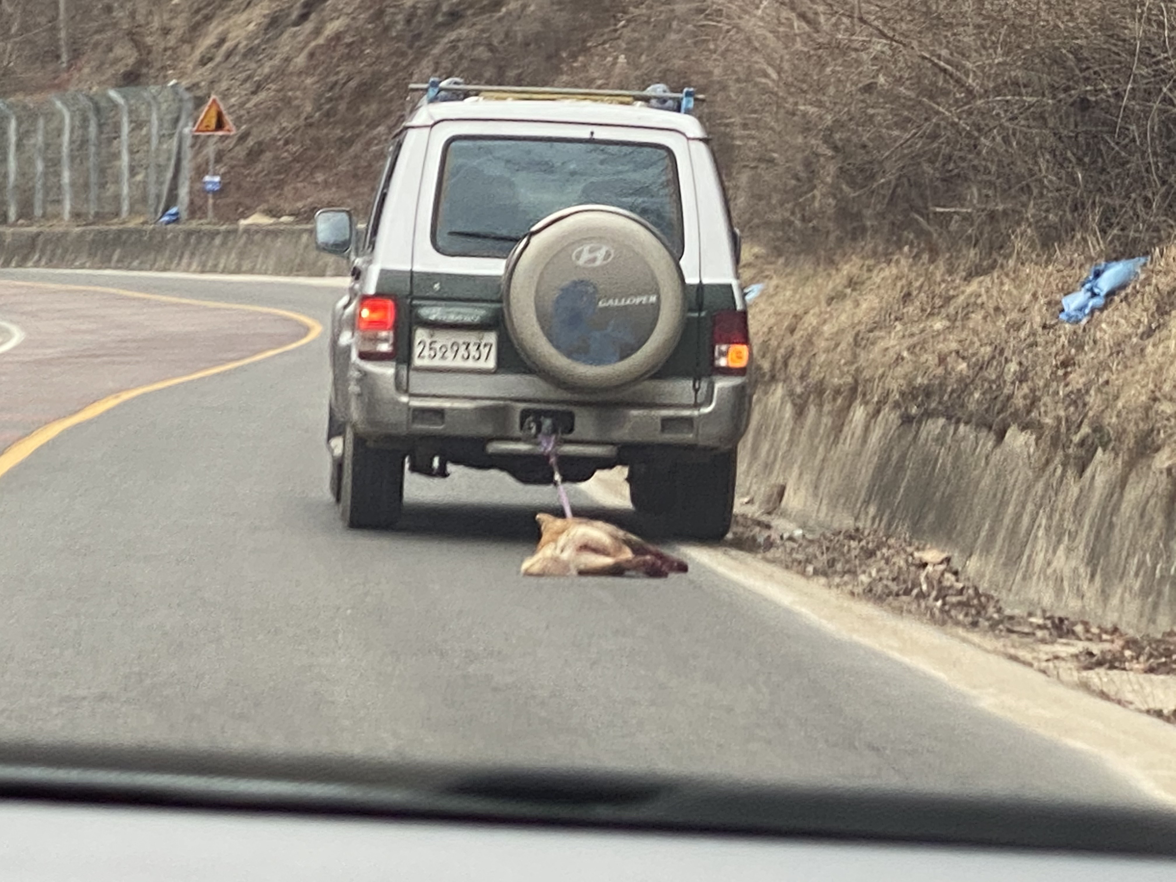 차에 매달린채 끌려다니고 있는 한마리 개....