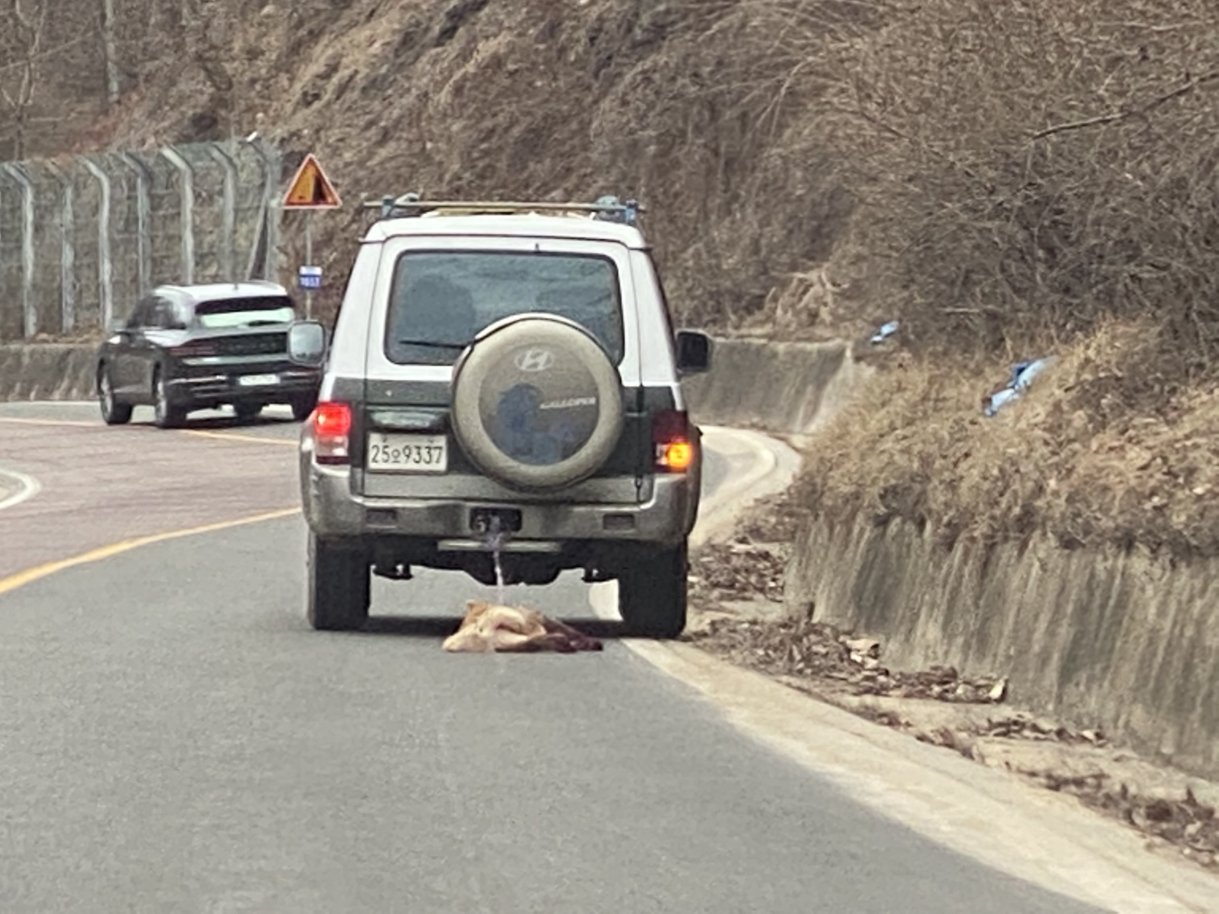 차에 매달린채 끌려다니고 있는 한마리 개....