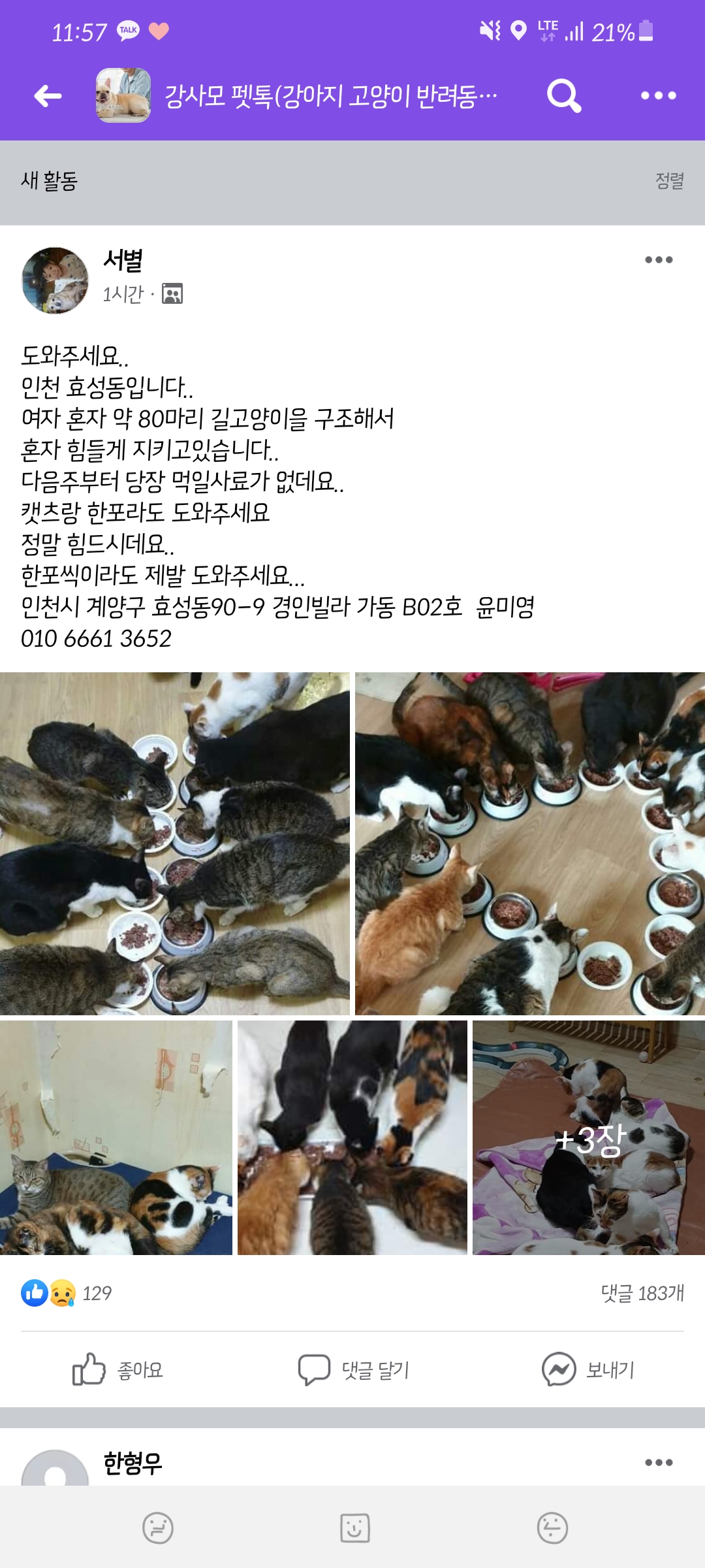 애니멀 호더