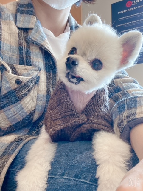 치콘이 입양 5주년!