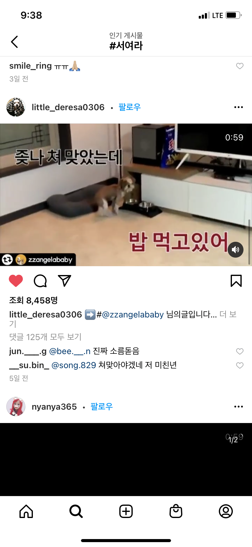 bj서여라 반려견학대 신고합니다