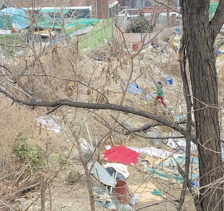 상습적으로 돌 던지는 행위(영상 확보)