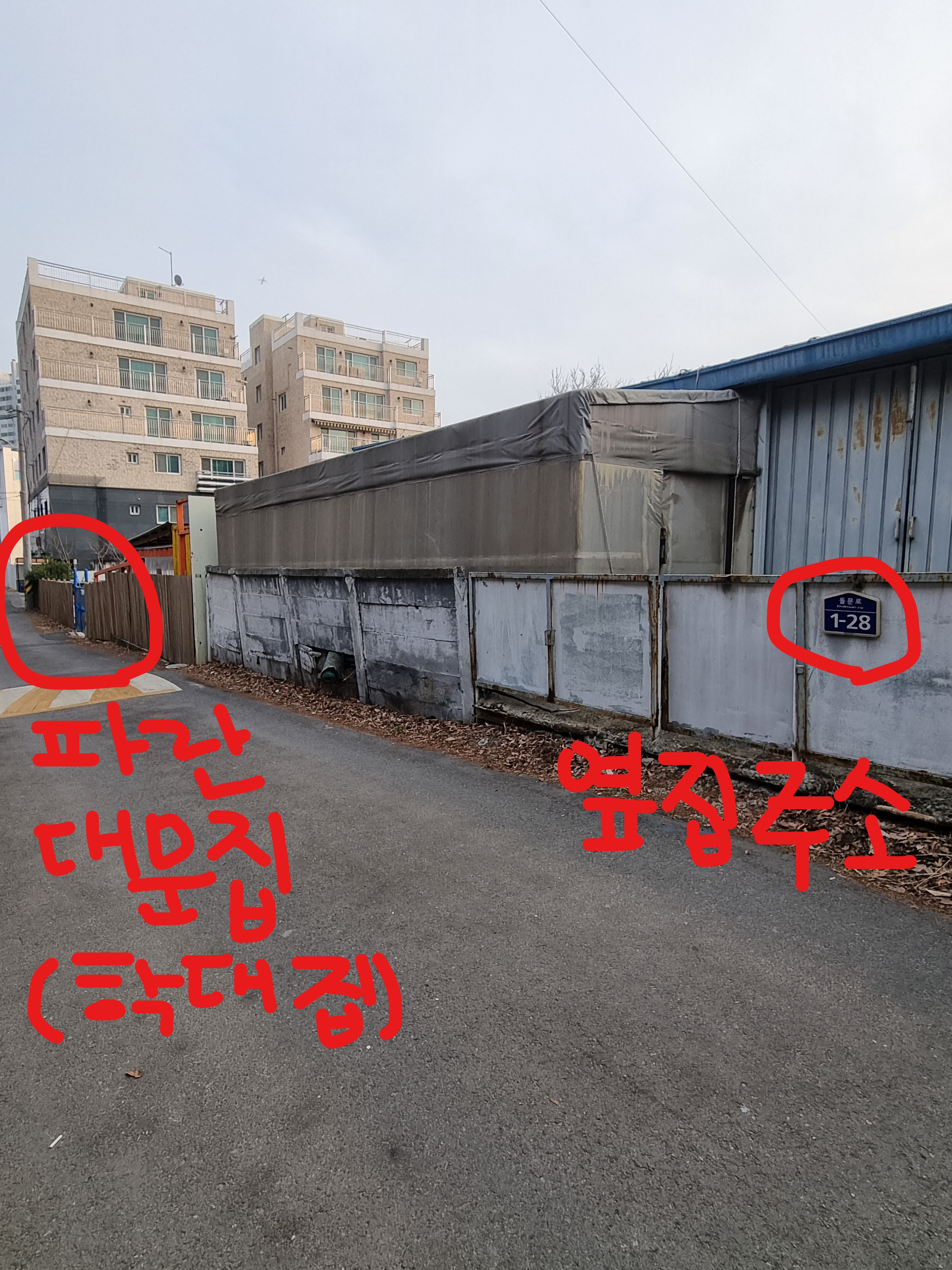 새끼 강아지를 발로 짓밟으며 학대하는 걸 목격했어요 제발 도와주세요
