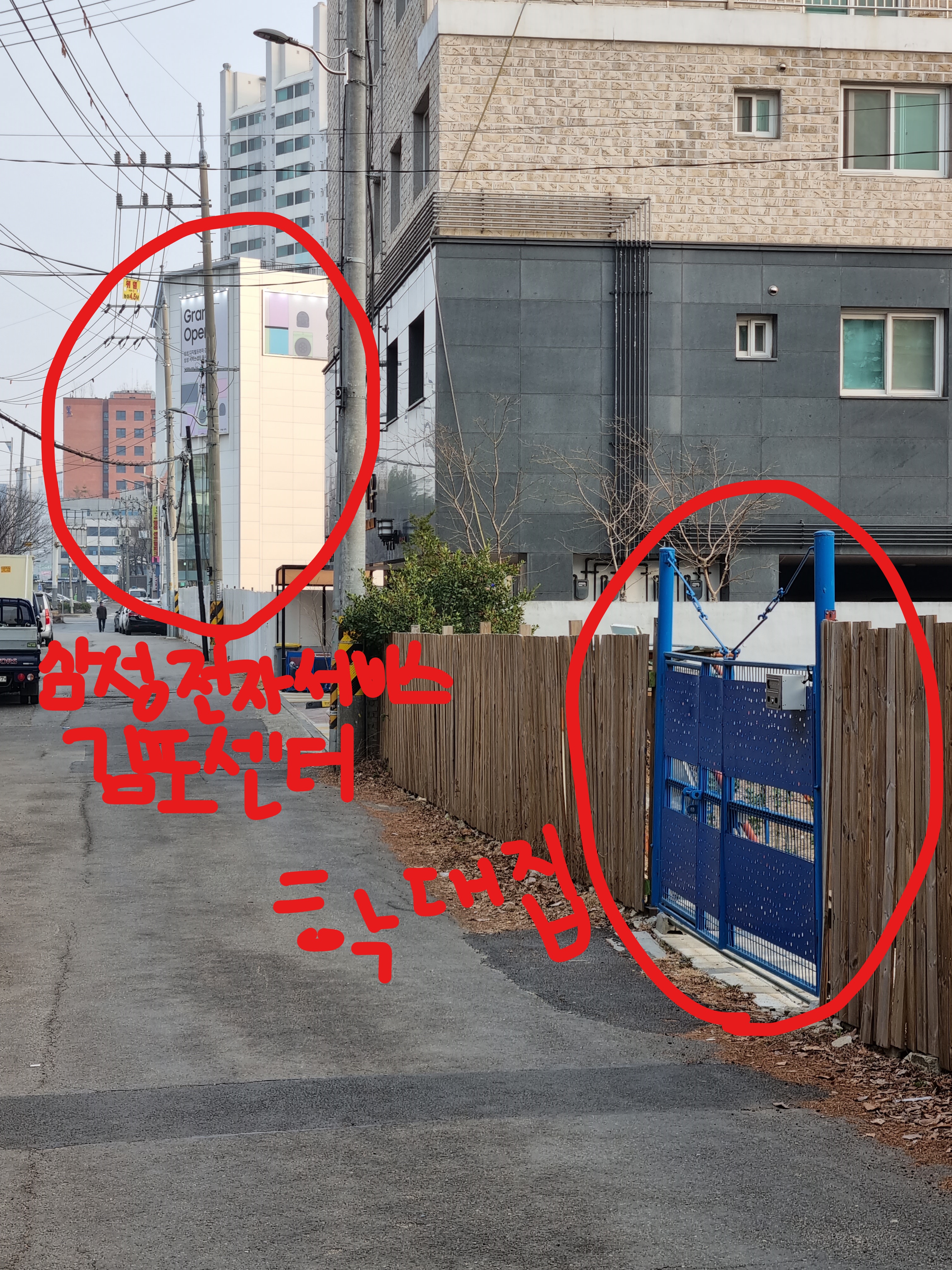 새끼 강아지를 발로 짓밟으며 학대하는 걸 목격했어요 제발 도와주세요