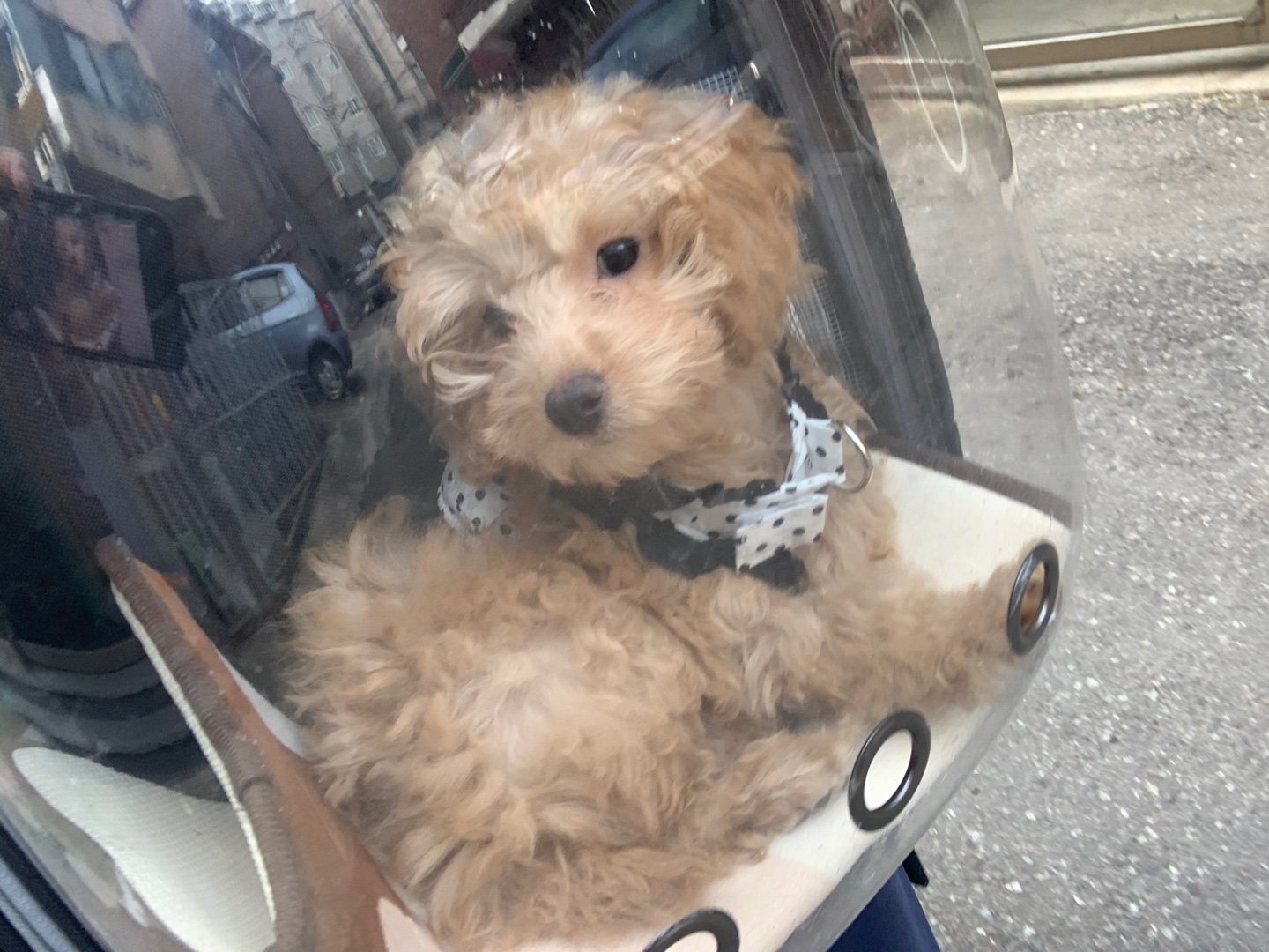 초이(해삼)이 1차 후기 입니다~!