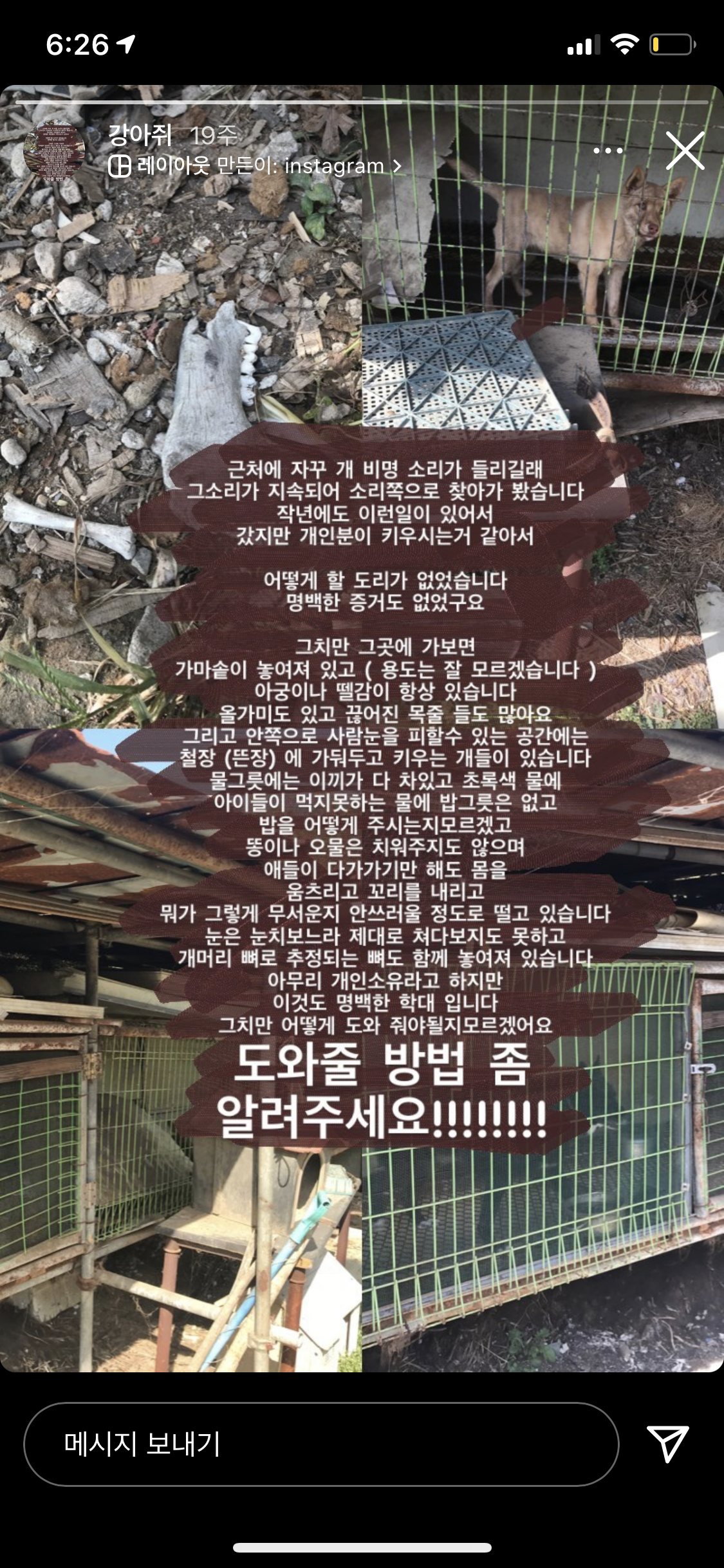 시흥시 10여마리의 강아지들이 잡아먹혀요 강아지추정 머리뼈등이있습니다