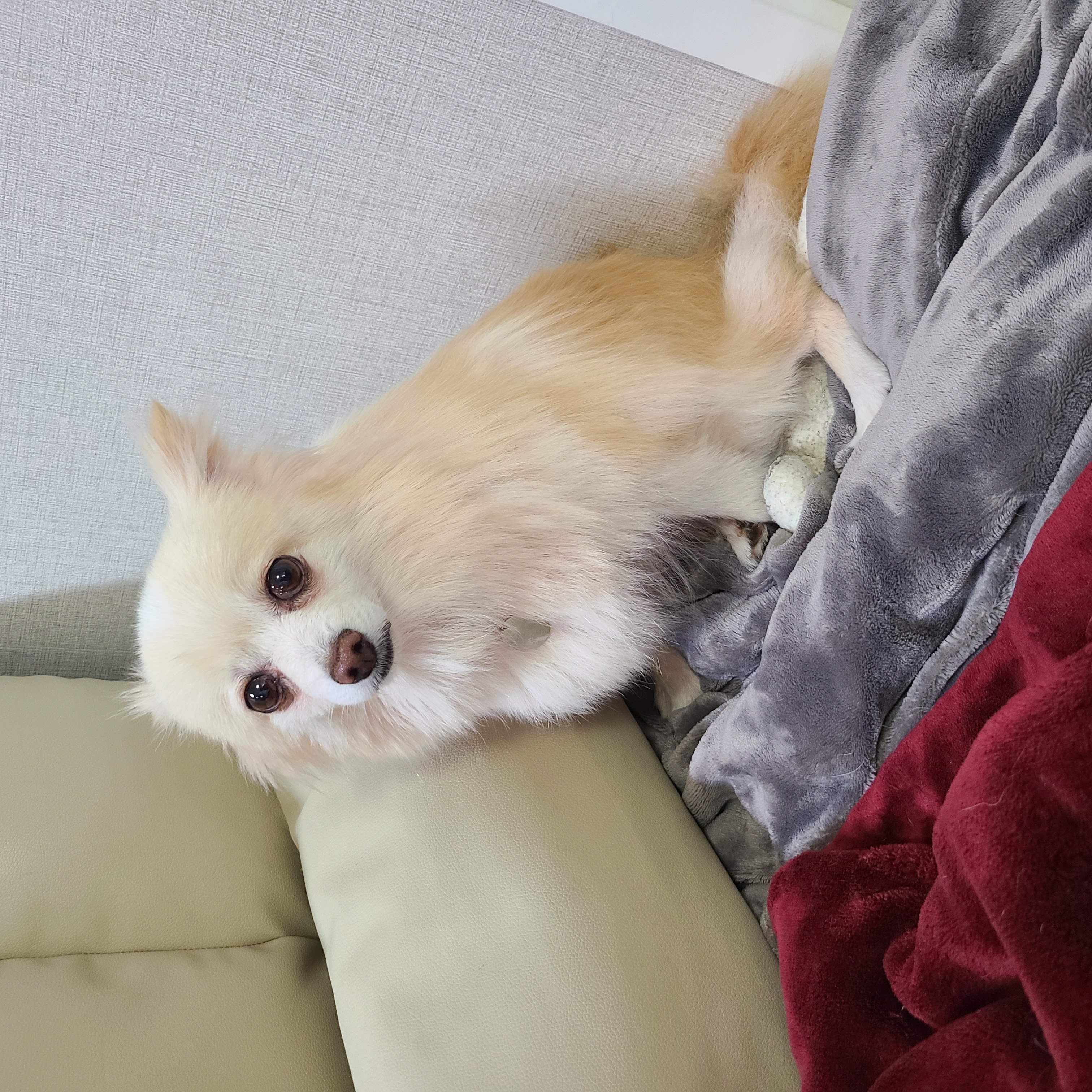 보배가 1주차!!