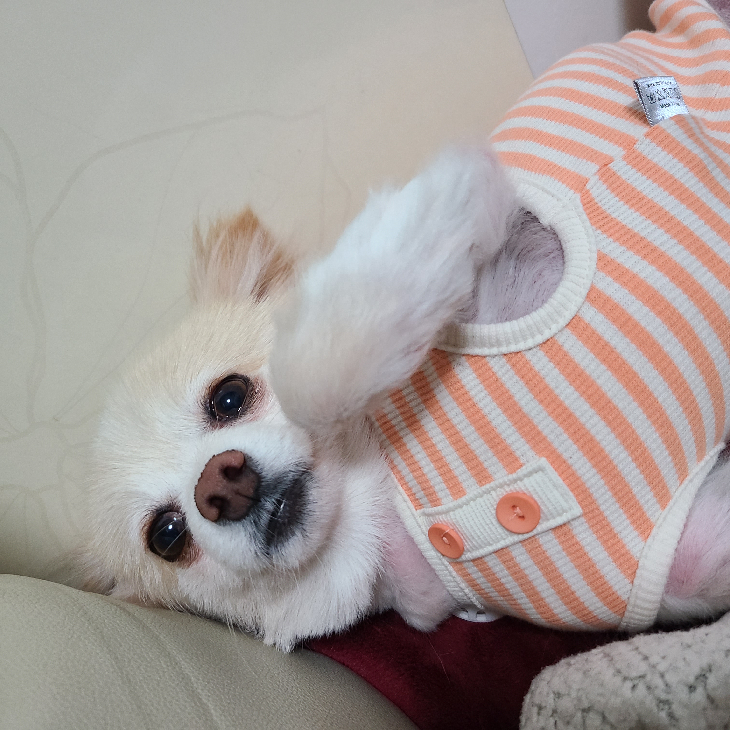 보배가 1주차!!