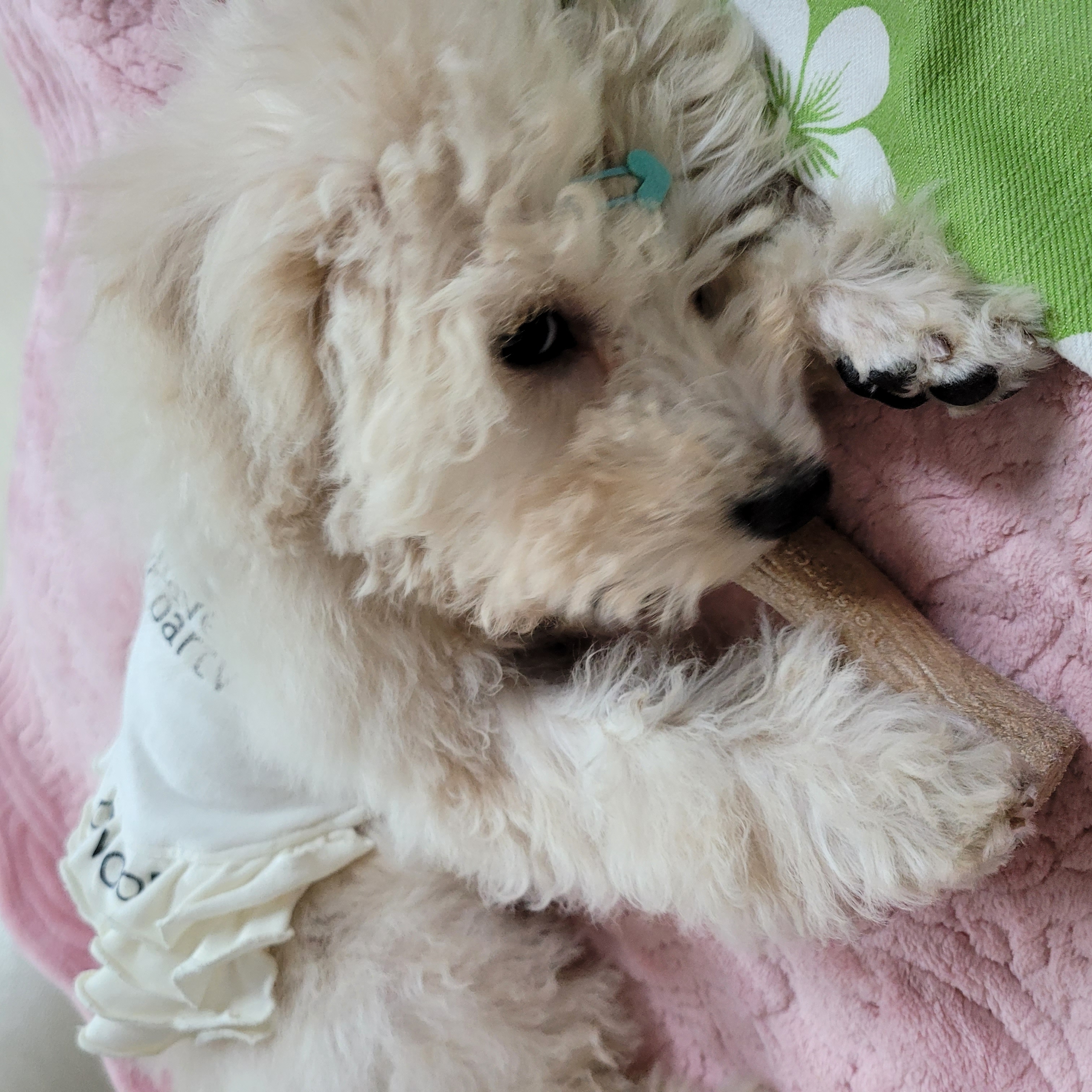 푸사한달후기
