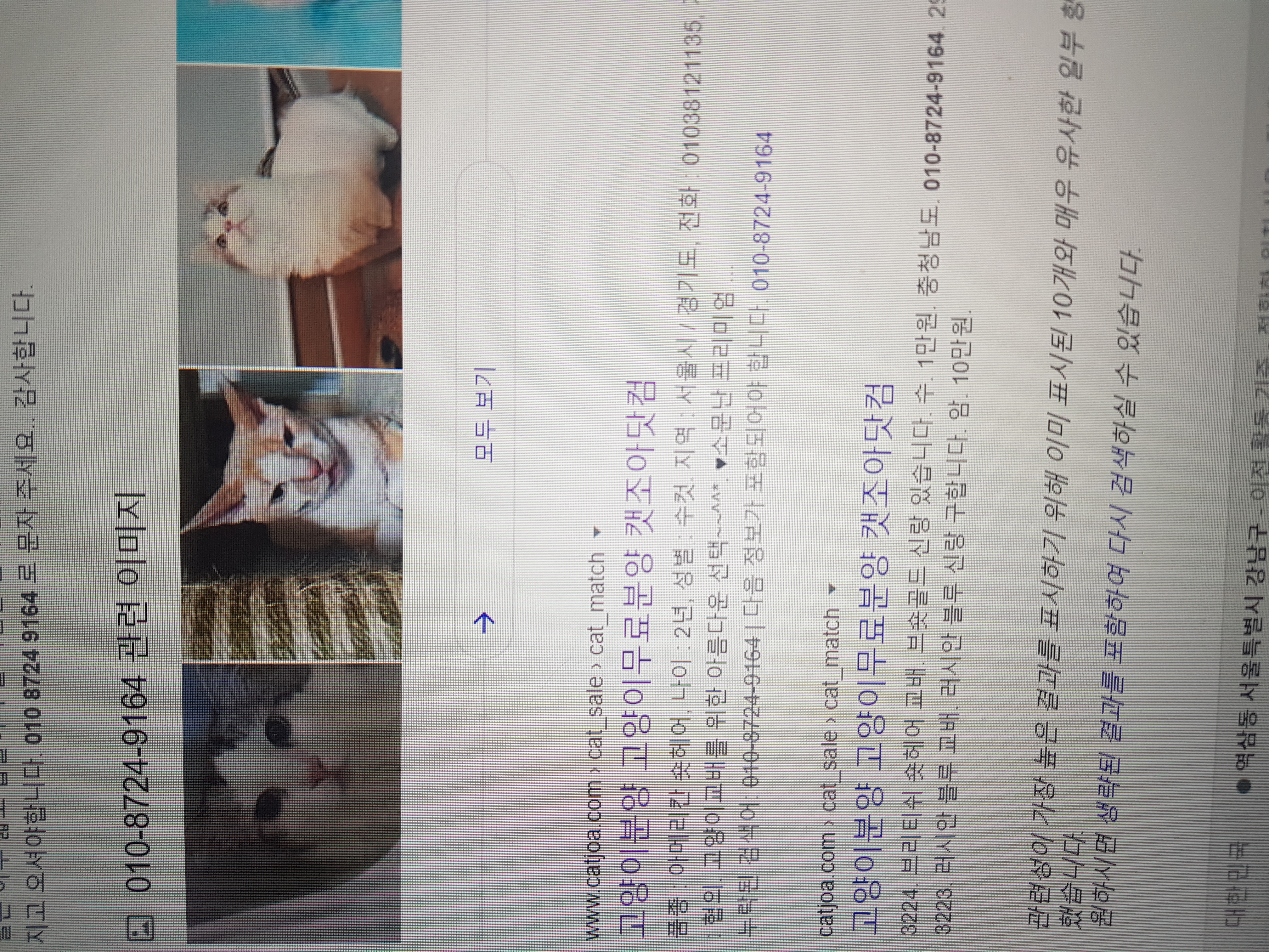 불법 번식장인거 같습니다