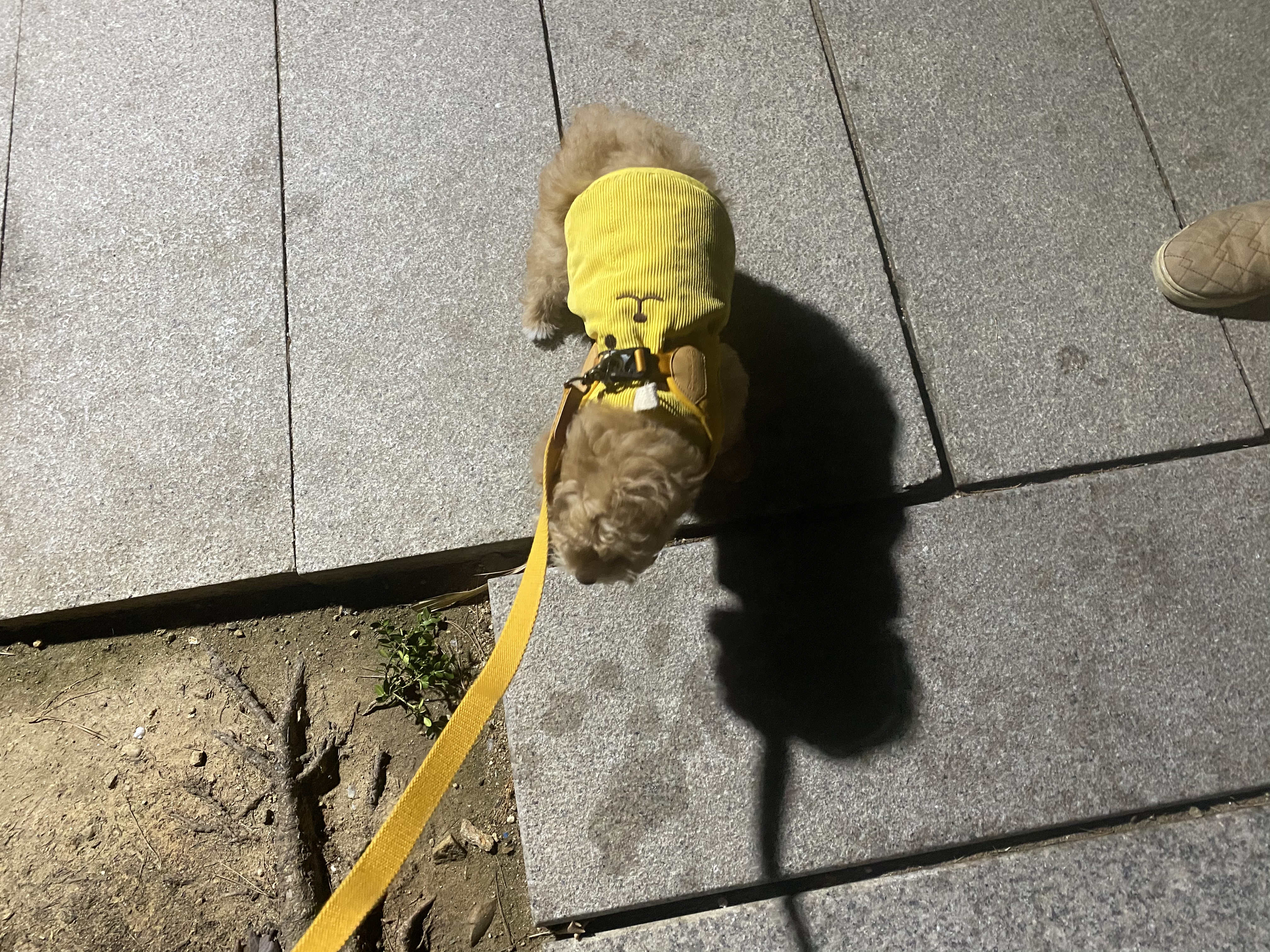 랑이(곤지암 해사) 3주차