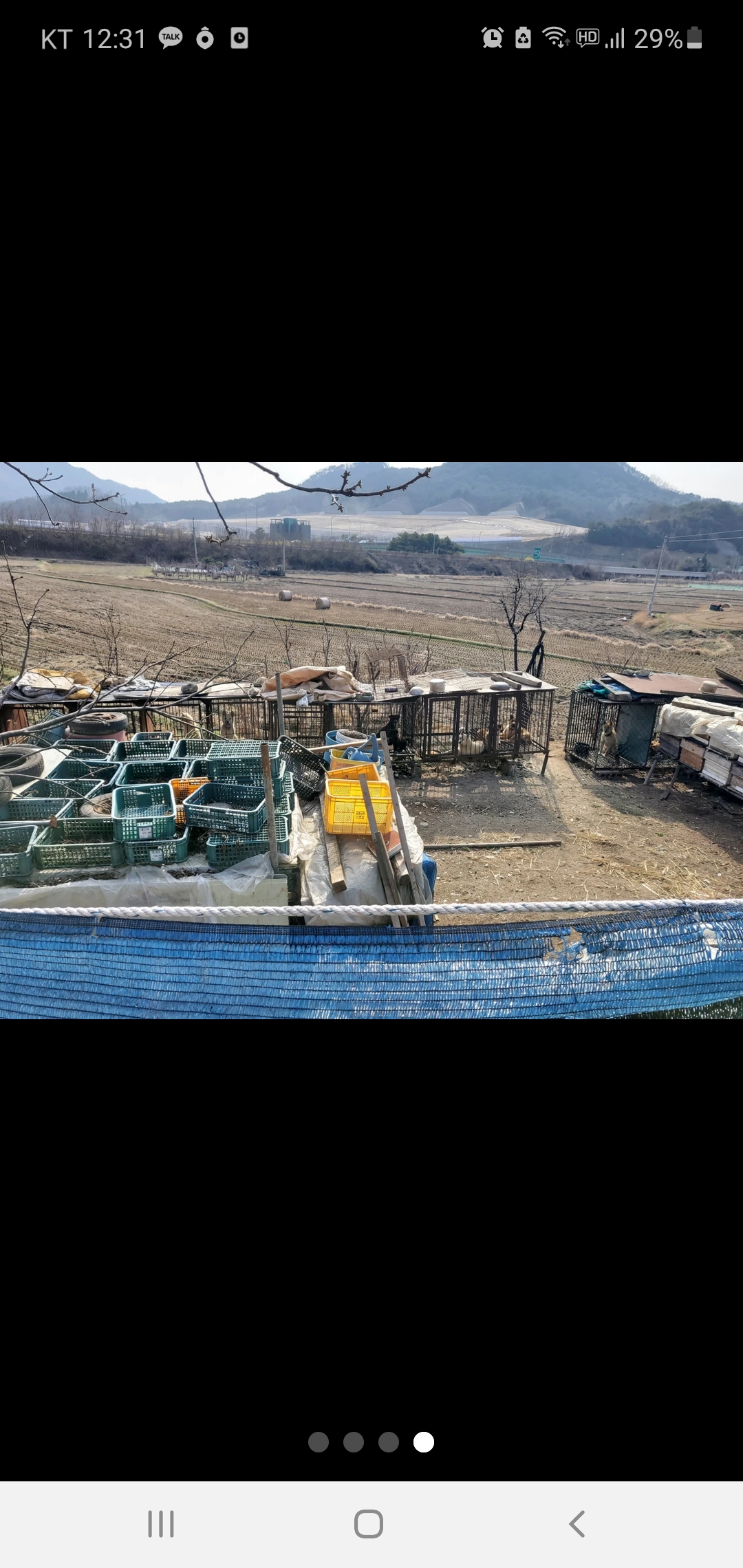10마리 정도 철창안에 갇혀있고 물그릇도 안보입니다