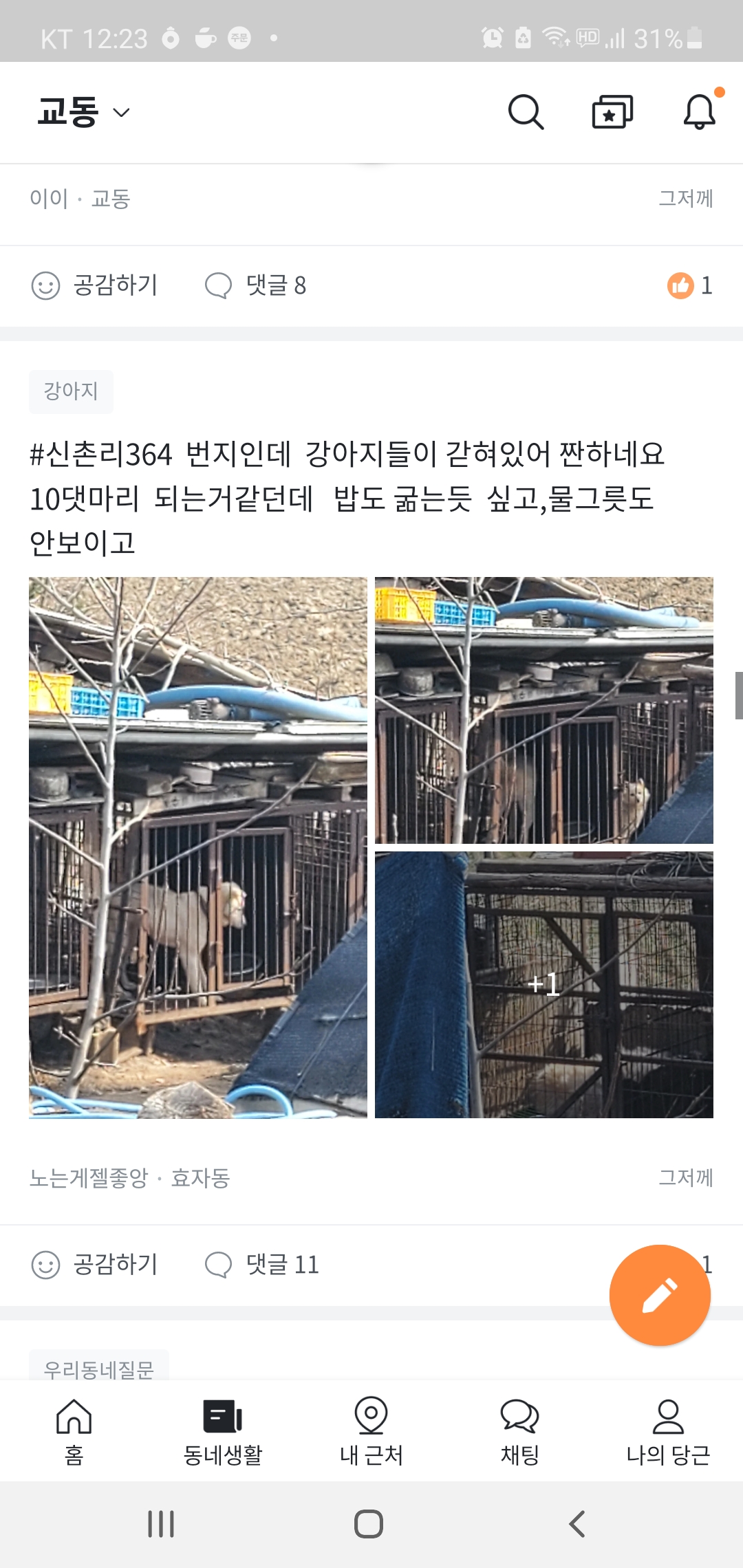 10마리 정도 철창안에 갇혀있고 물그릇도 안보입니다