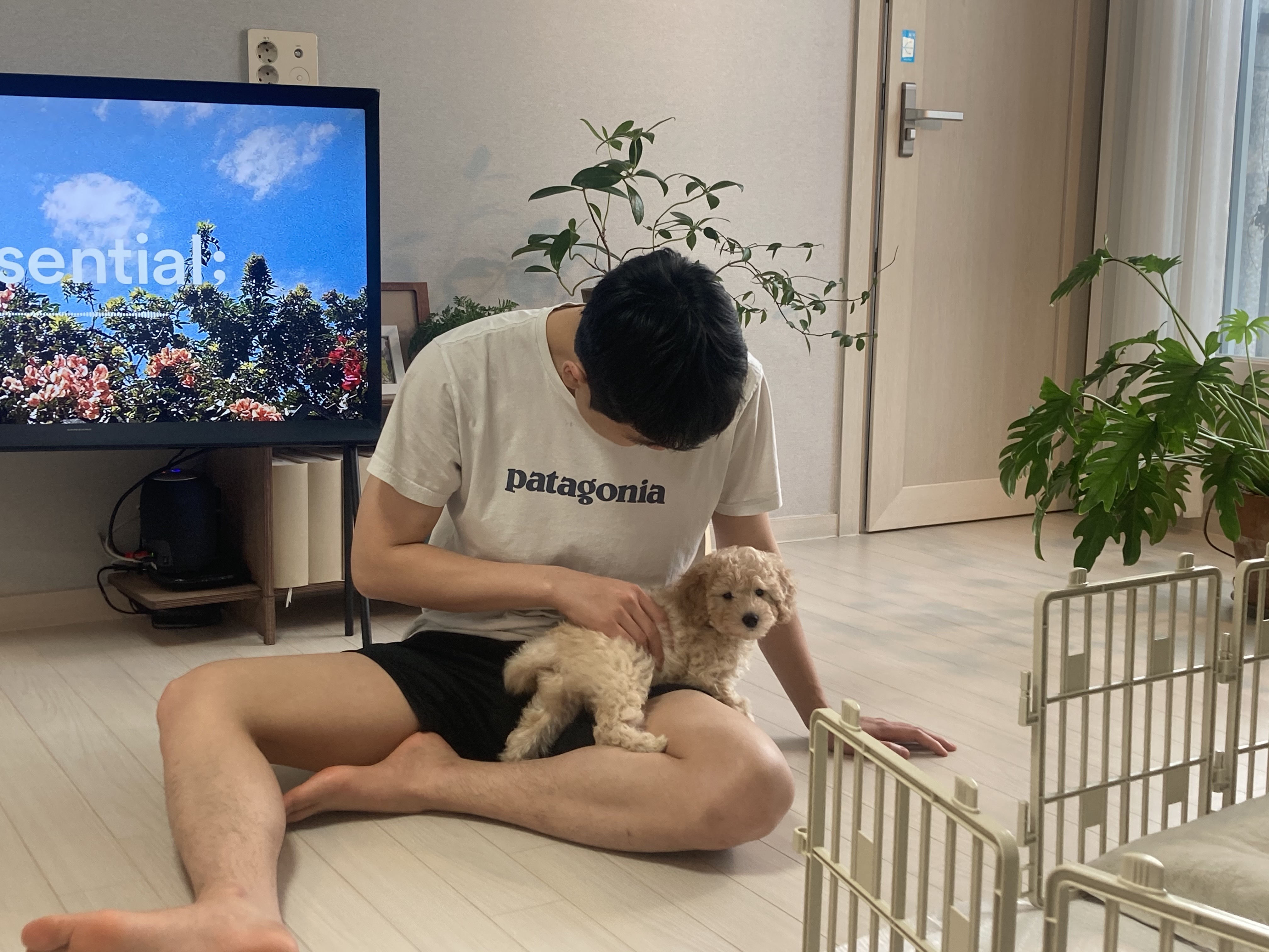 잼이와 가족이 되었어요!