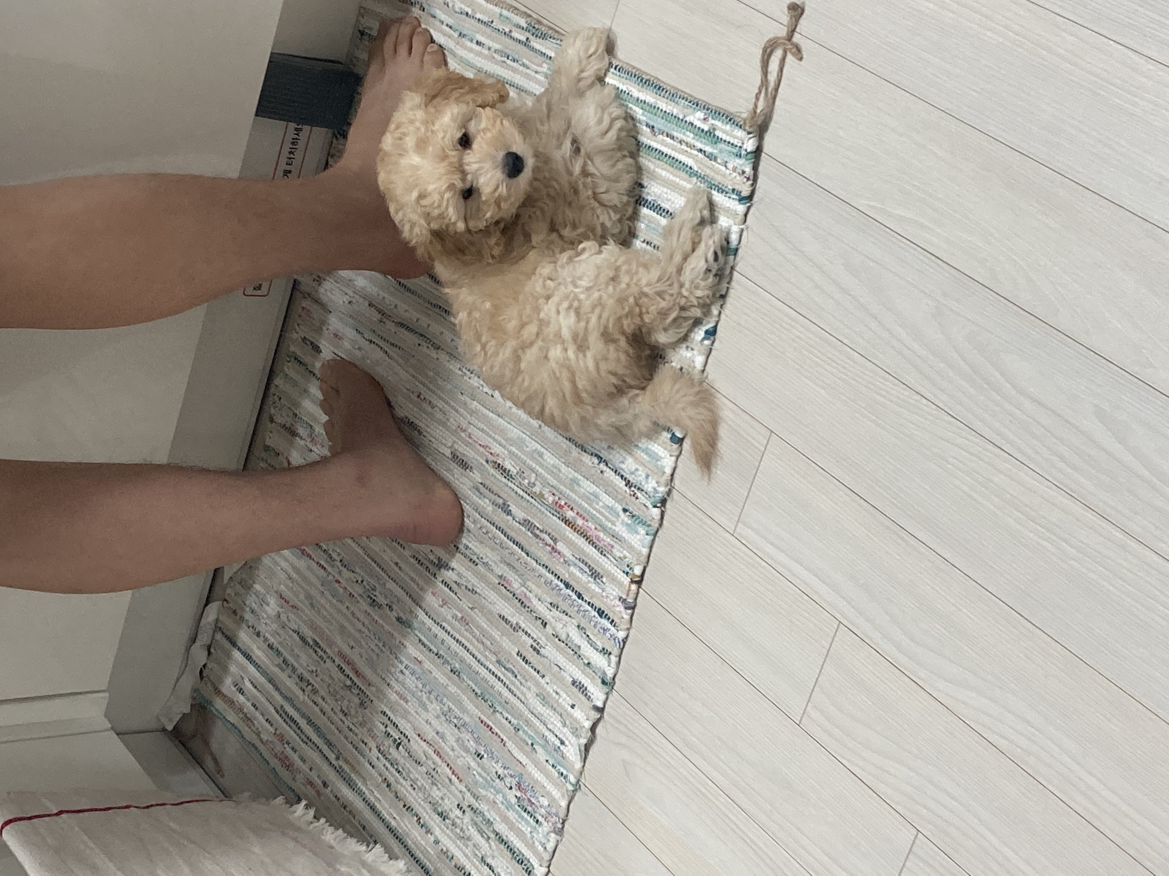 잼이와 가족이 되었어요!