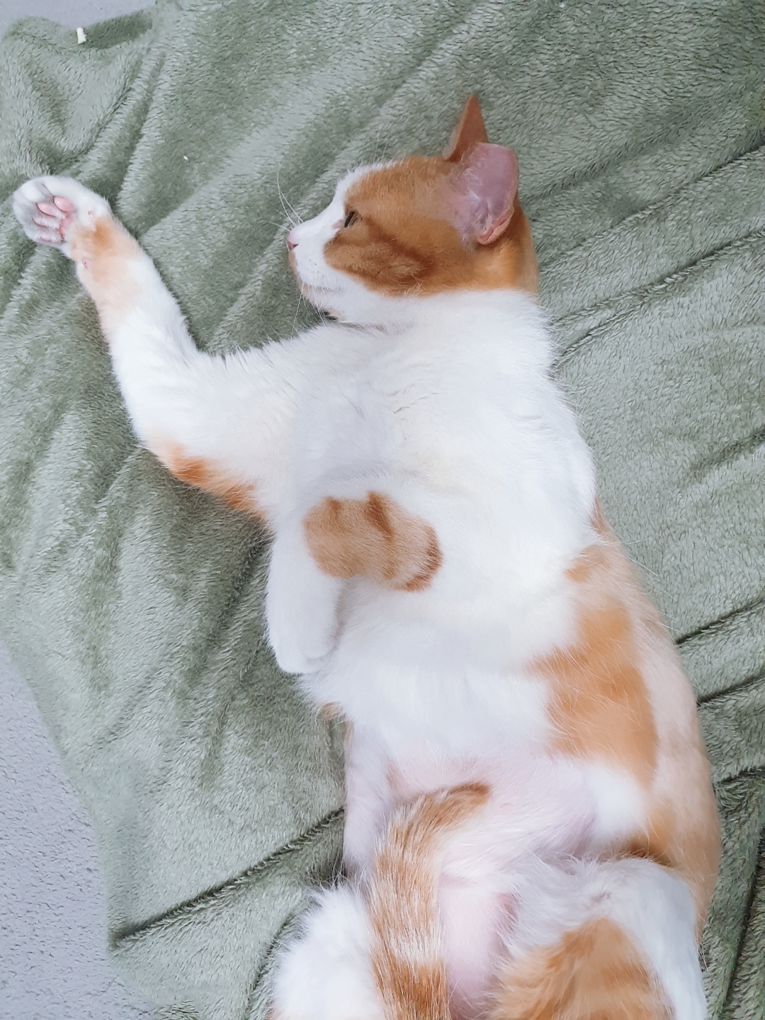 옥희(몰랑이),복희(동백이) 1년~