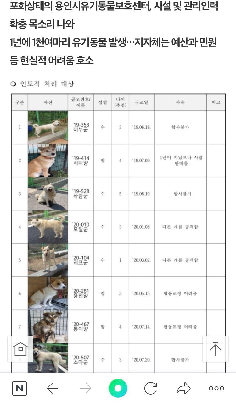 신원리 개농장 50마리되는 이 아이들 좀살려주세요!