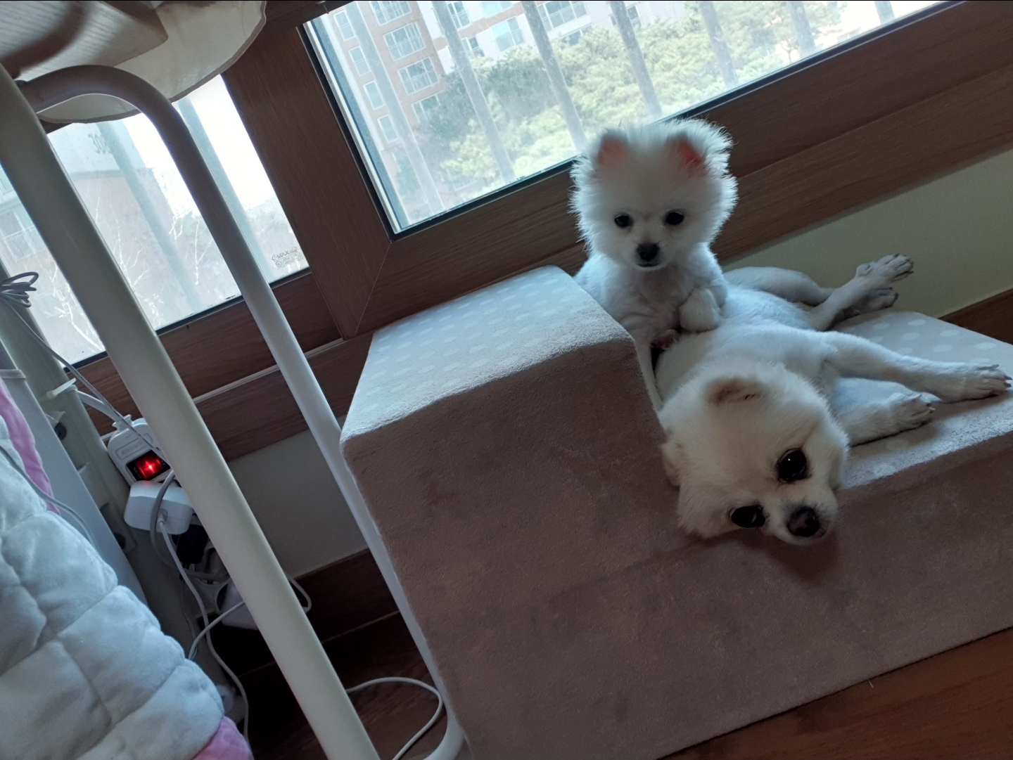 핑키에요~~^^