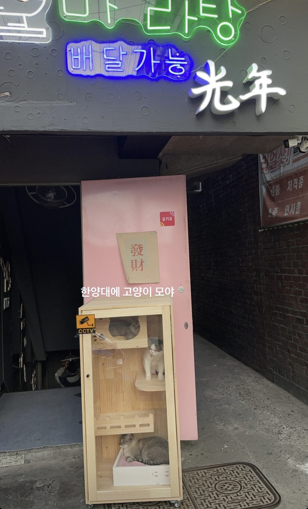 학대신고